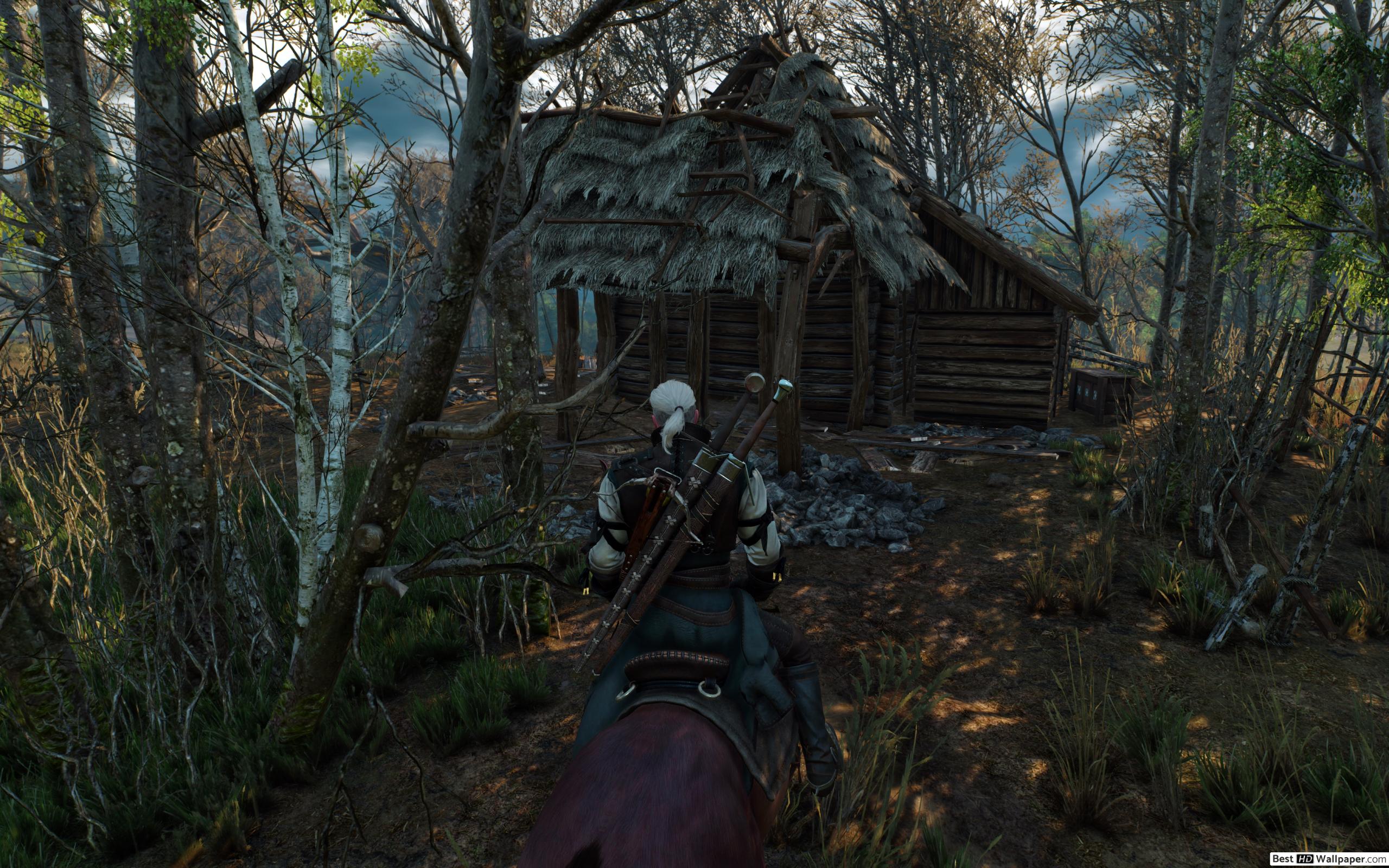 Witcher 3 Graphic Bug - HD Wallpaper 