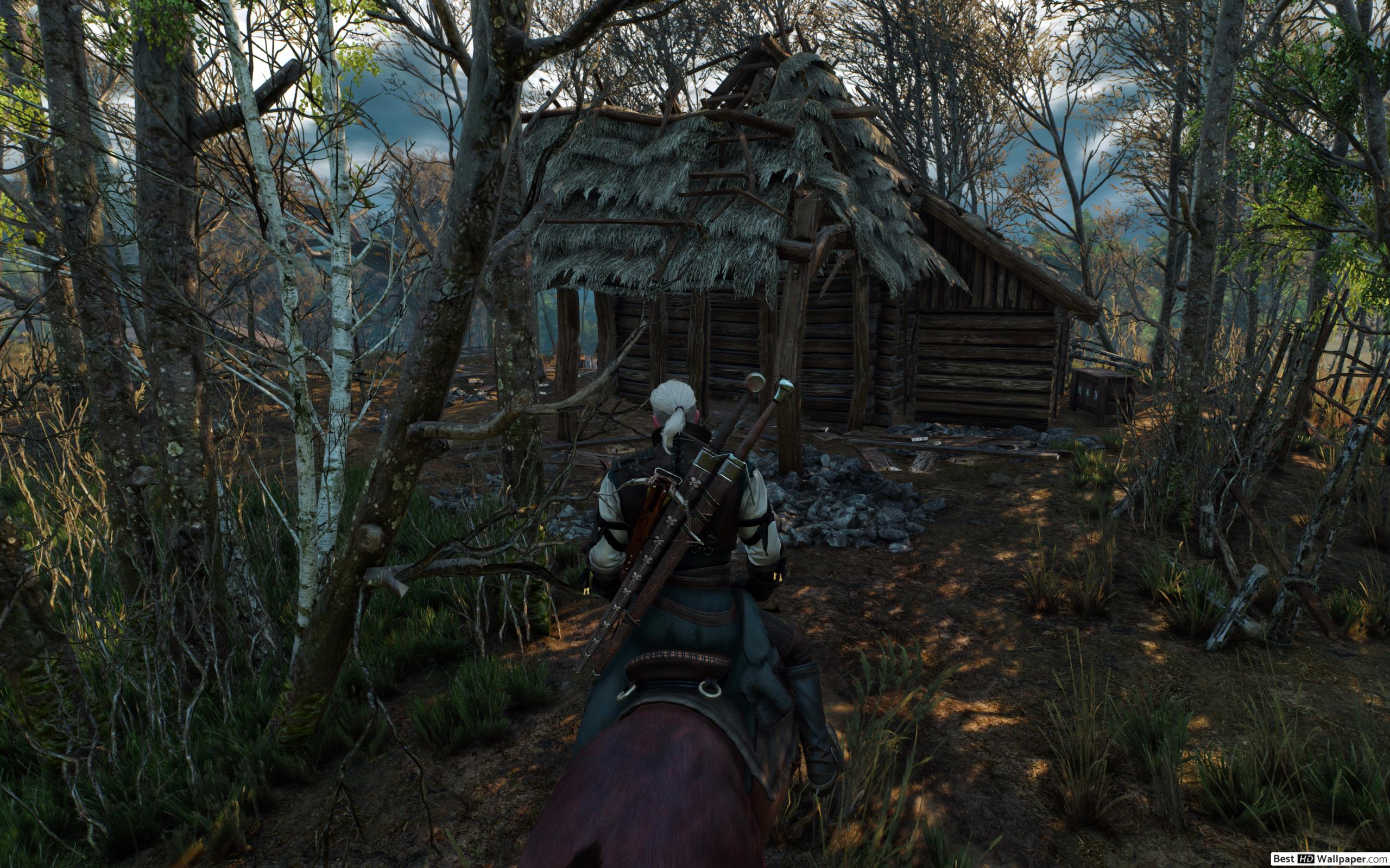 Witcher 3 Graphic Bug - HD Wallpaper 
