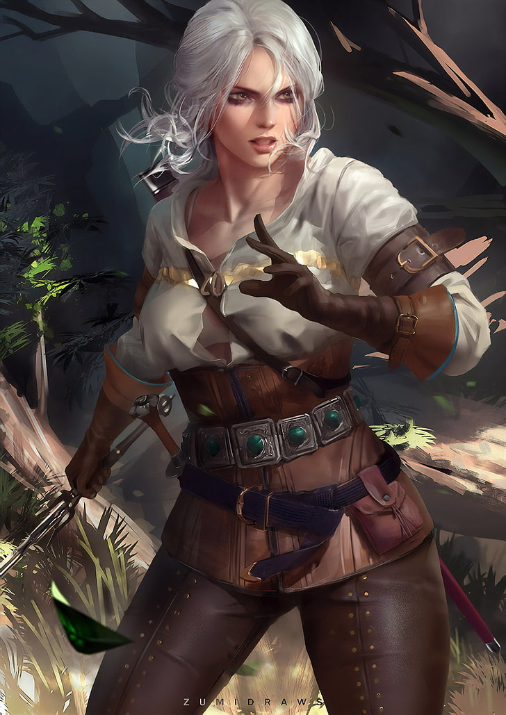 Cirilla Fiona Elen Riannon, The Witcher, The Witcher - Ciri Witcher 3 Art - HD Wallpaper 