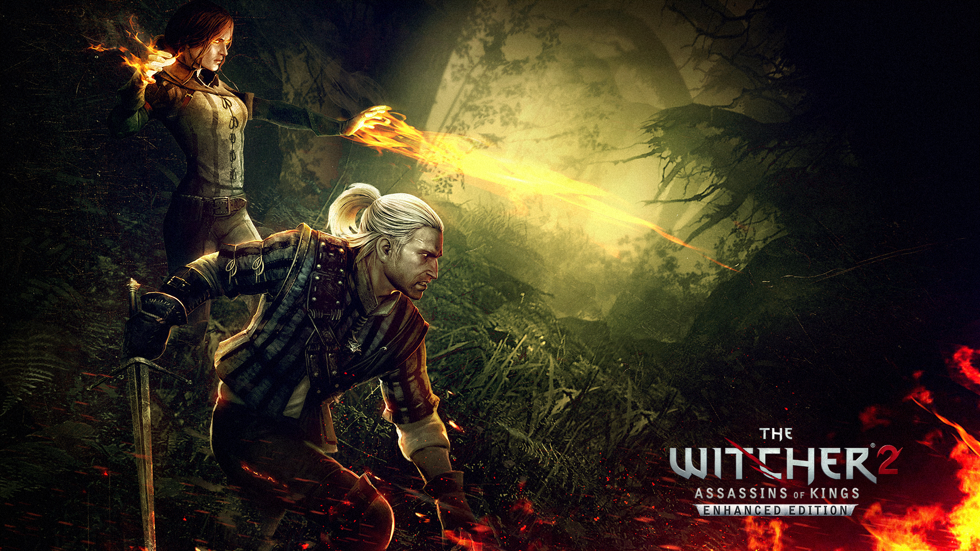 Witcher 2 Assassins Of Kings - HD Wallpaper 