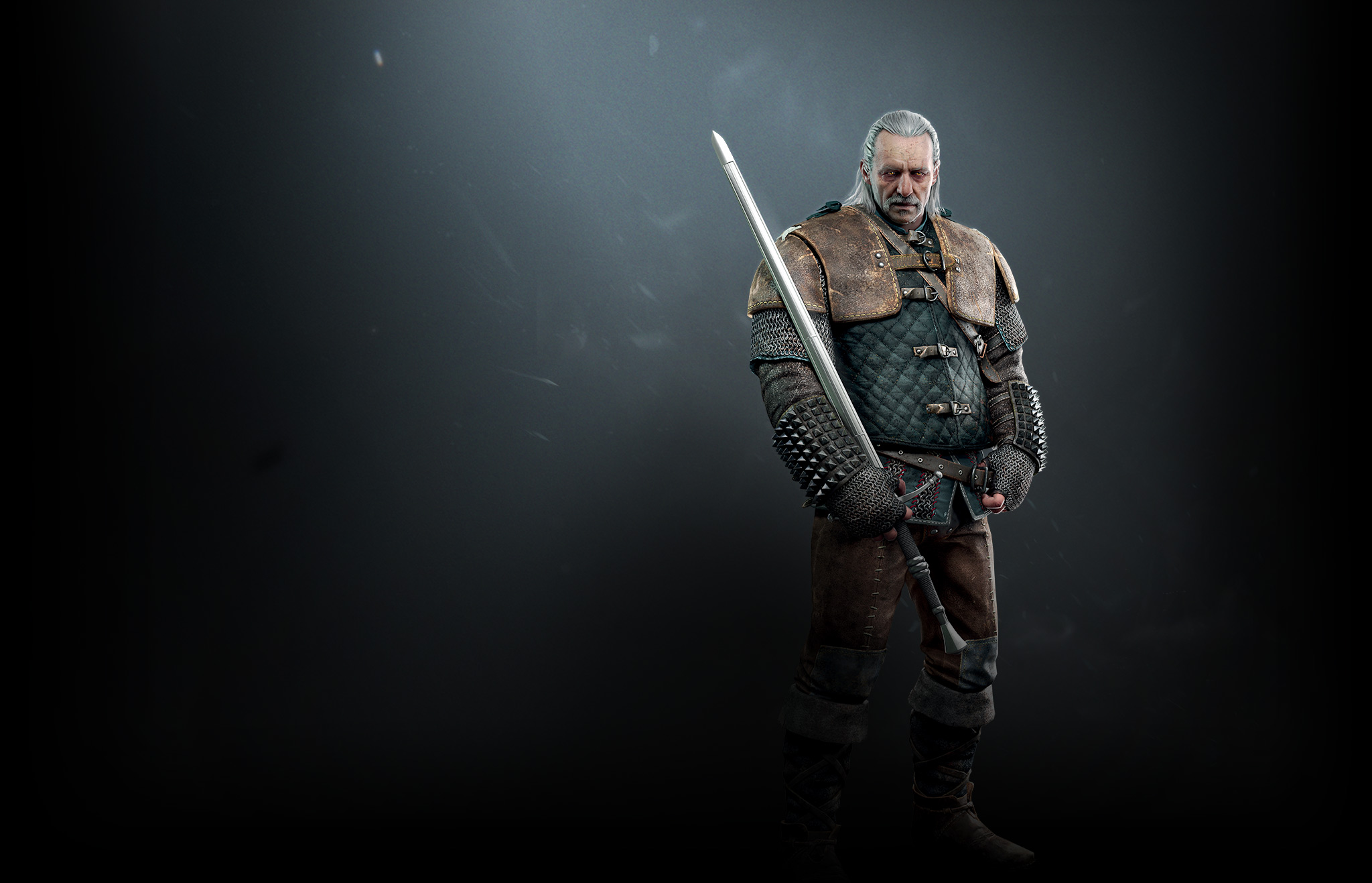 Games The Witcher - Witcher Vesemir - HD Wallpaper 