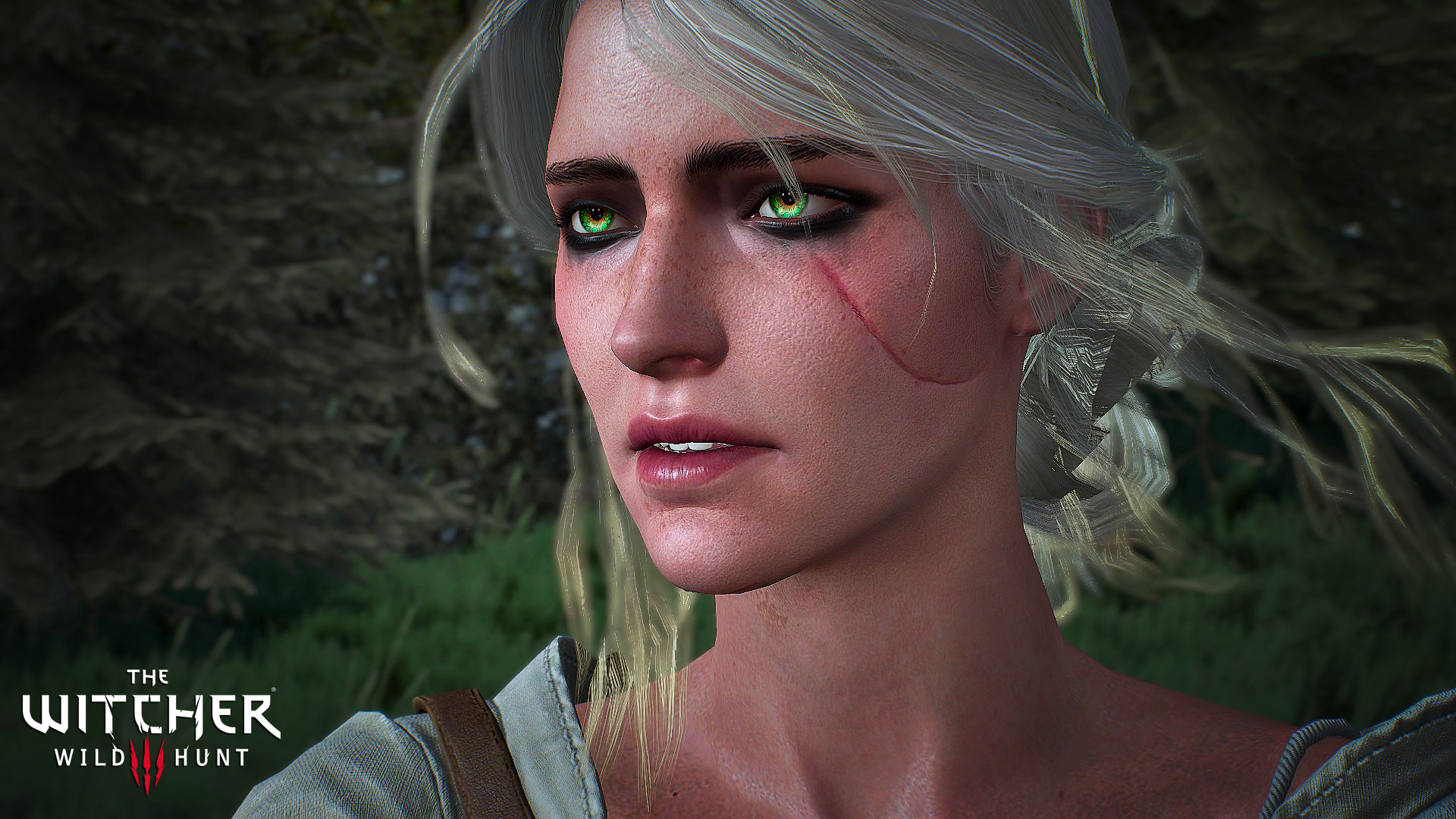 The Witcher 3 Ciri Wallpaper By Jarminx Watch Customization - Ciri Witcher 3 Face - HD Wallpaper 