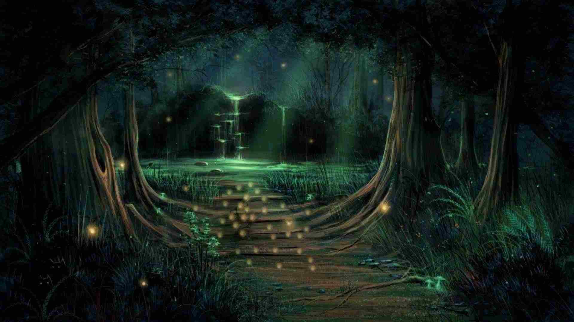 Night Enchanted Fairy Forest - HD Wallpaper 