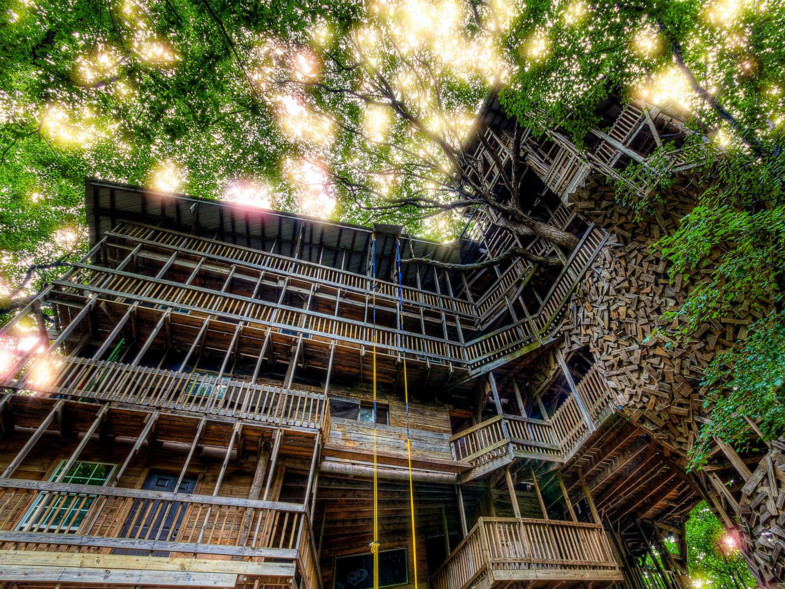 Biggest Treehouse In The World - HD Wallpaper 