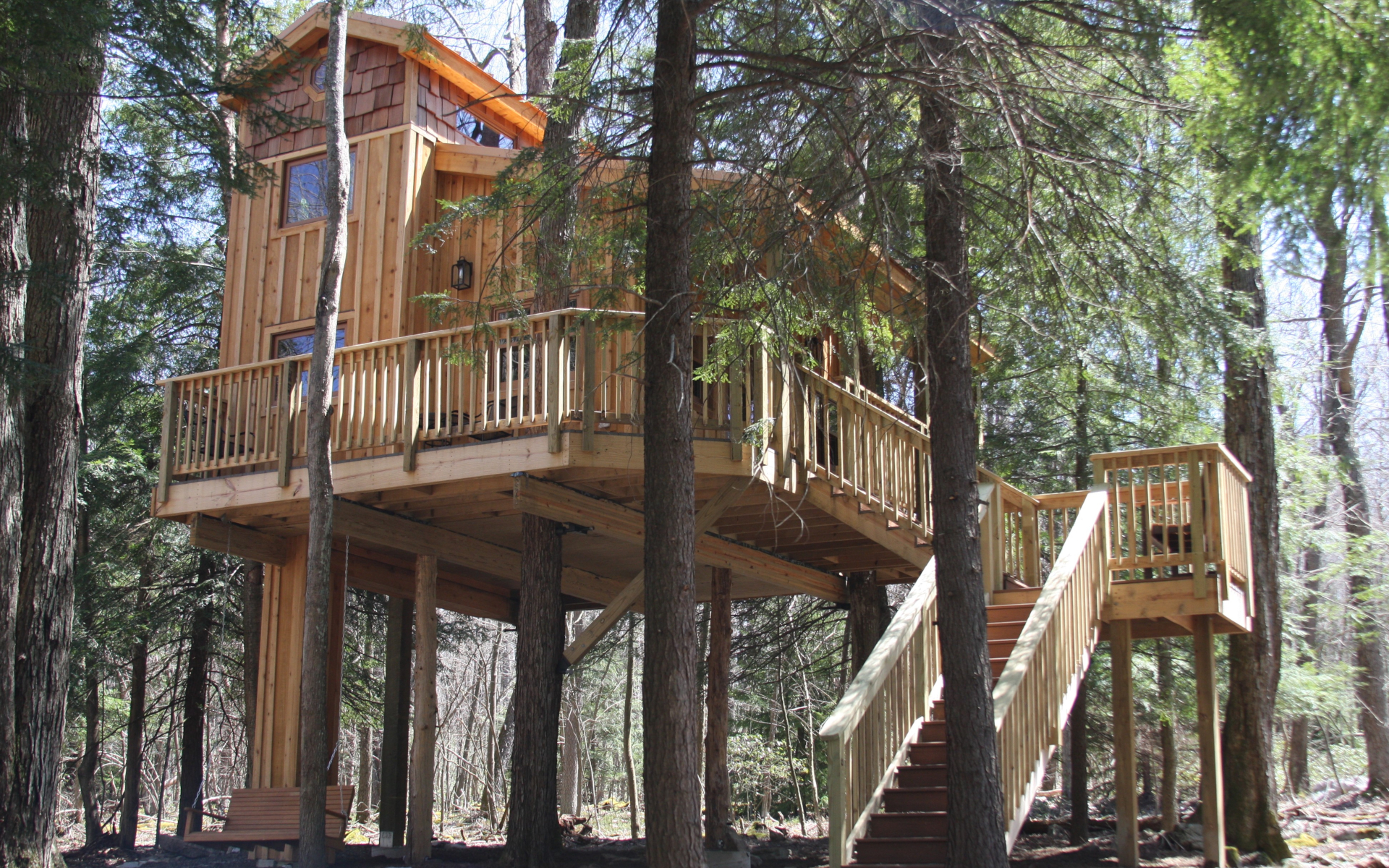2 Nights In A Treehouse - Plank - HD Wallpaper 
