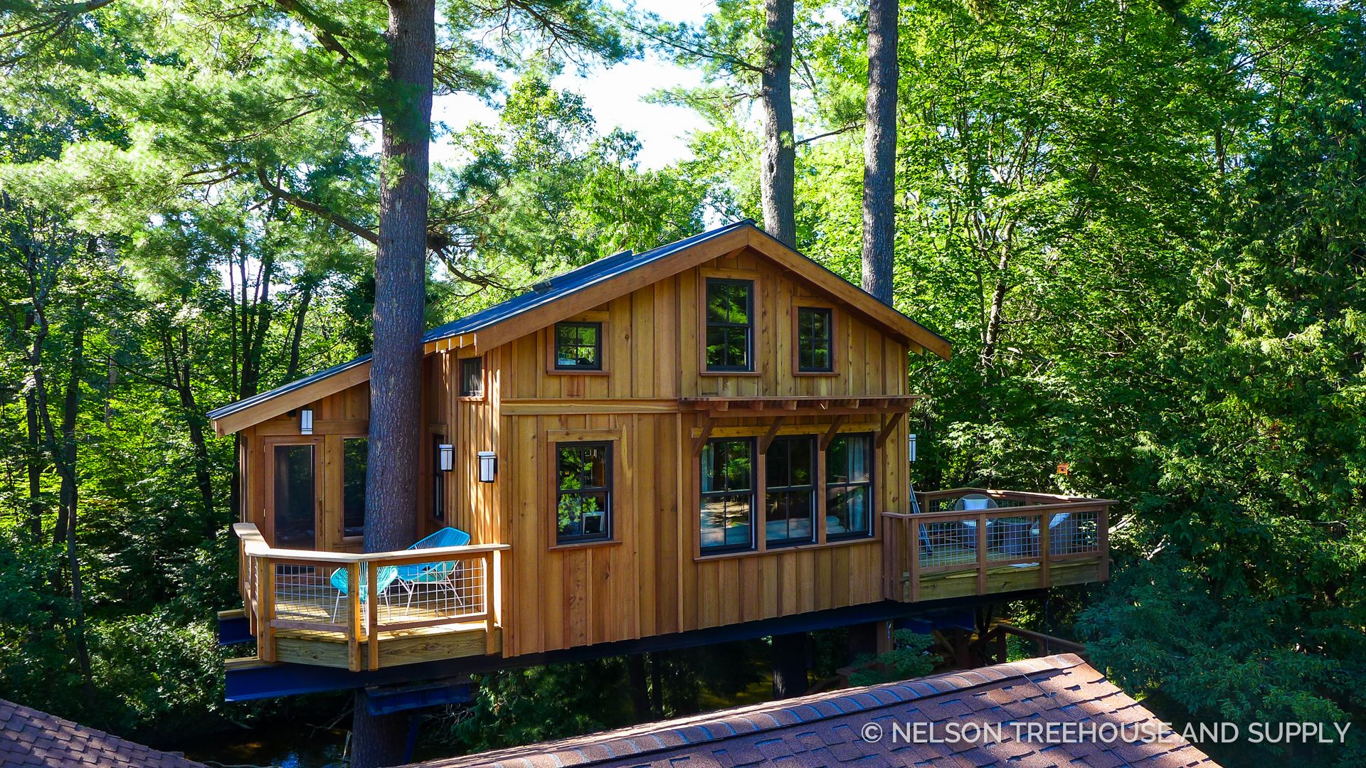 Nelson Treehouse - Treehouse Masters Swiss Family Robinson - HD Wallpaper 