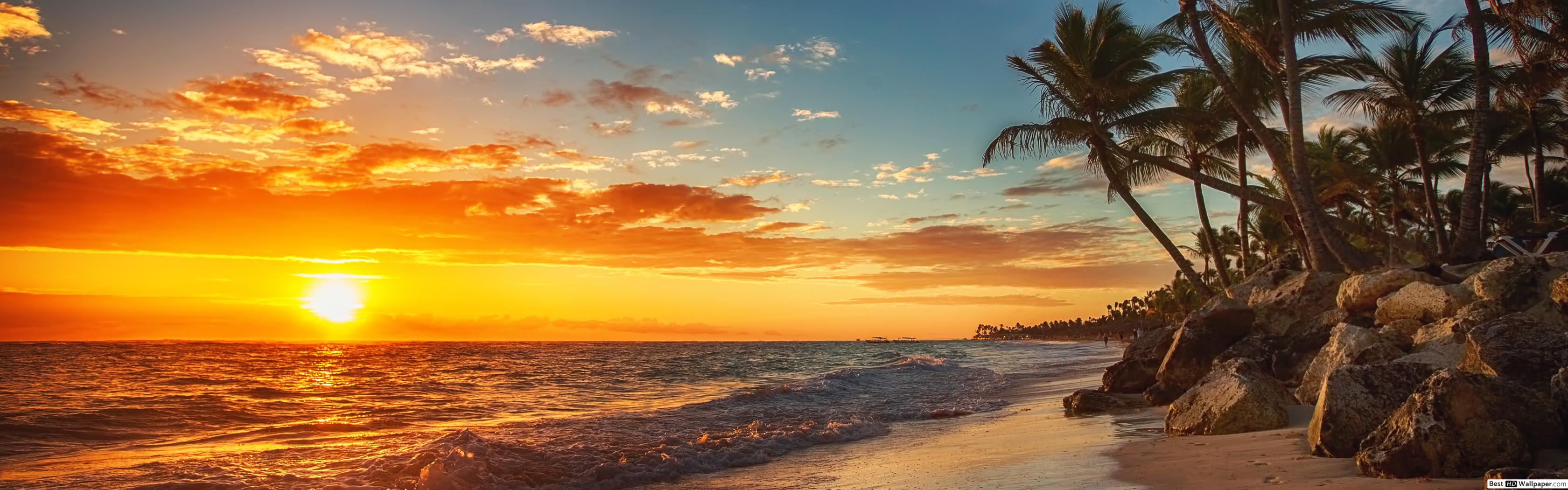 Beach Palm Tree Sunrise - HD Wallpaper 