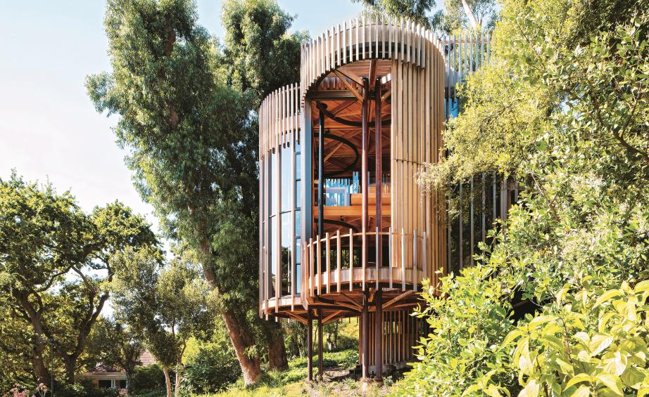 Luxury Tree House Cape Town - HD Wallpaper 