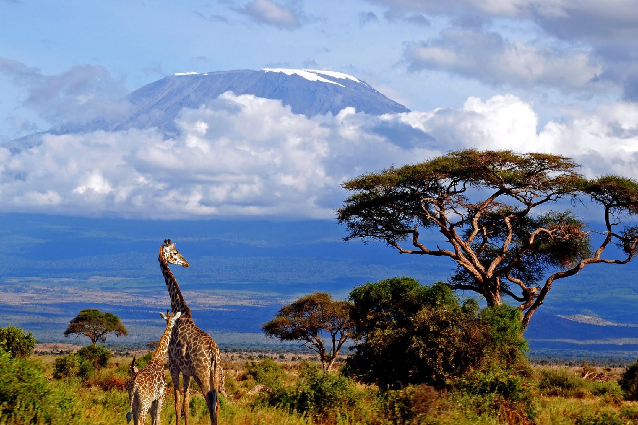 Travel Mount Kilimanjaro 3 Hd Wallpapers - Kilimanjaro Height In Feet - HD Wallpaper 