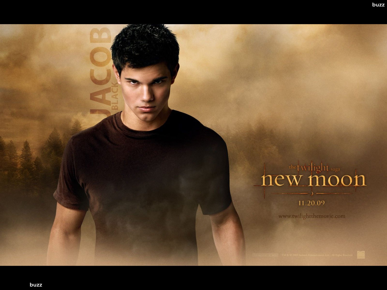 Jacob Taylor Lautner Twilight - HD Wallpaper 