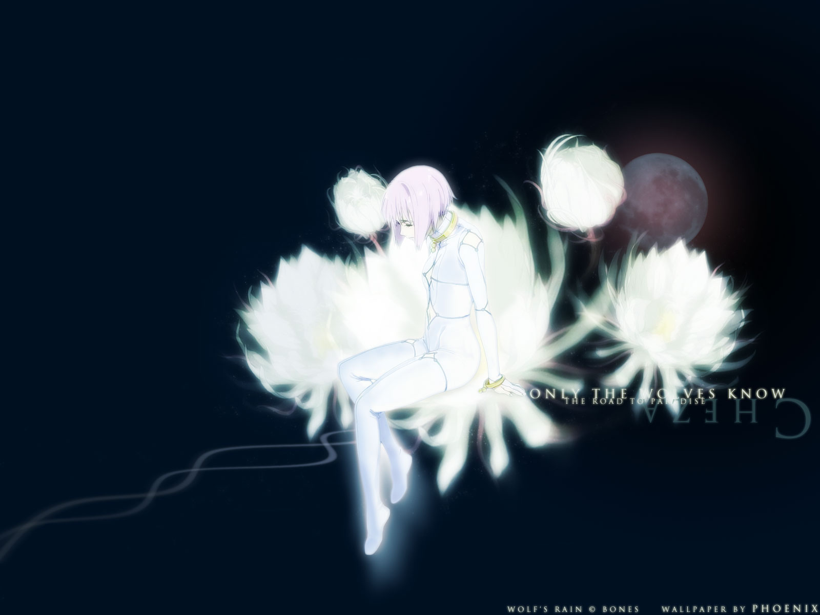 Wolf S Rain Wallpaper - Wolf's Rain Cheza - HD Wallpaper 