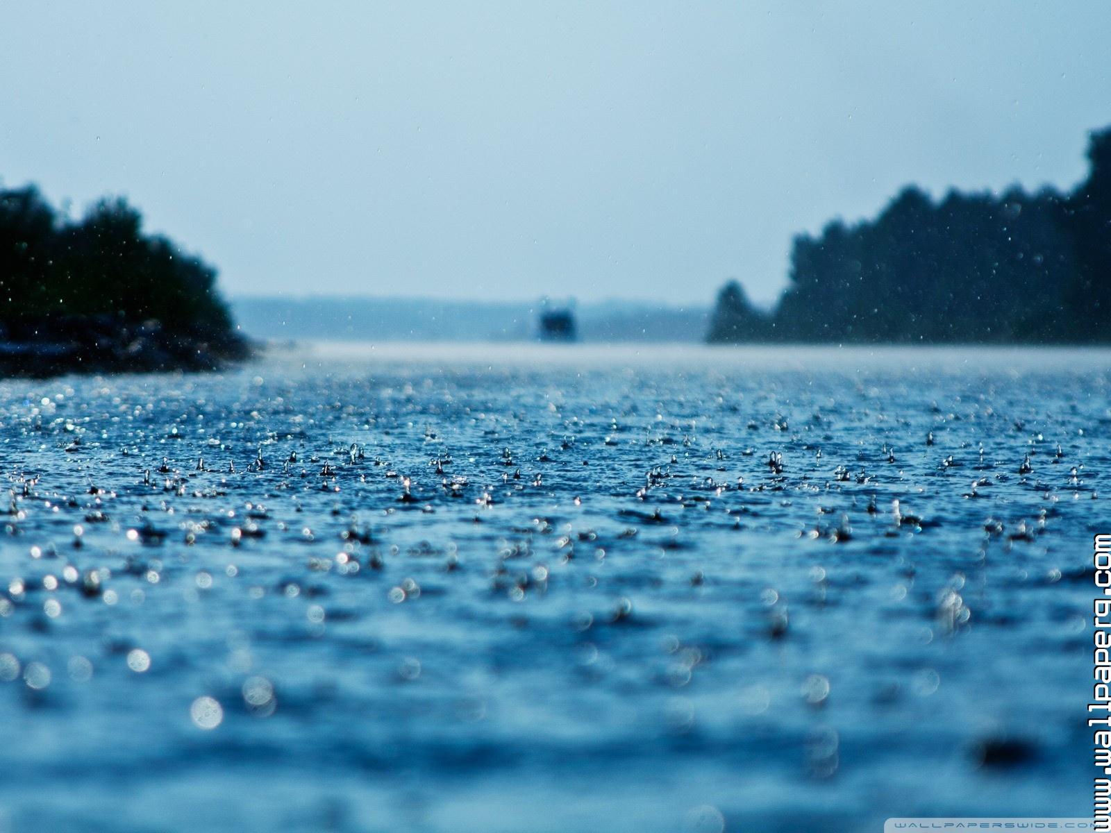 Summer Rain - HD Wallpaper 
