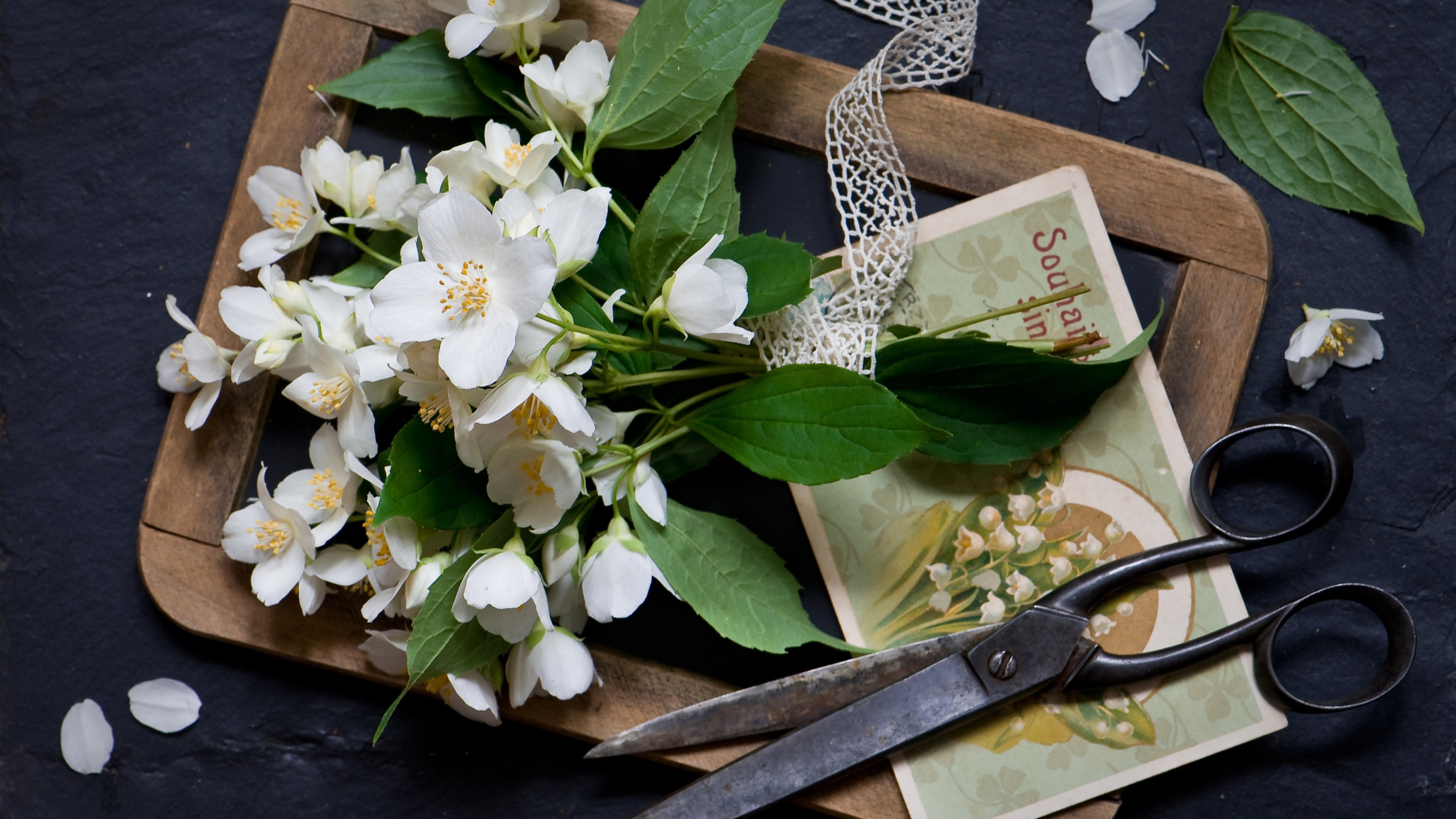 Wallpaper Jasmine Flowers, Scissor, Wood Board - Jasmine Wallpaper Flowers - HD Wallpaper 