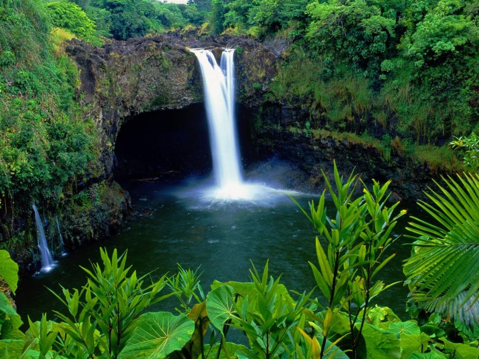 Rain Forest Tropical High Resolution Wallpaper Forest Wailuku River State Park Rainbow Falls 970x727 Wallpaper Teahub Io