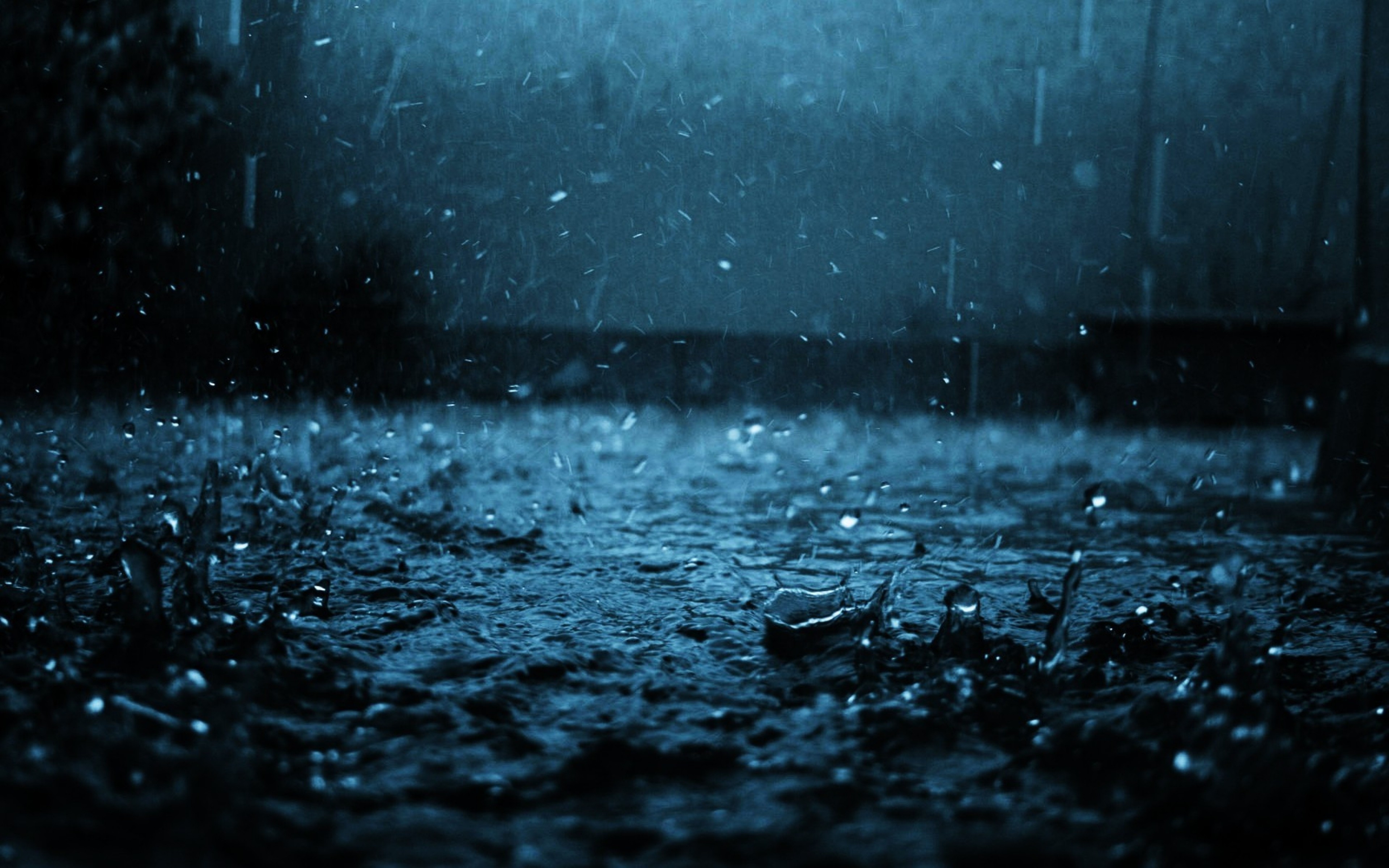 Rain Nature Wallpaper - HD Wallpaper 