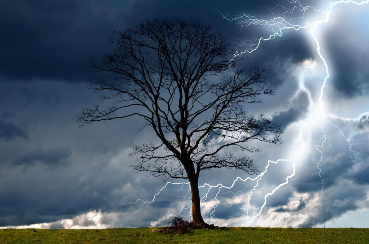 Trees, Storm, Sky, Lightning, Rain, Nature, Dangerous, - Rain Sky Background Hd - HD Wallpaper 