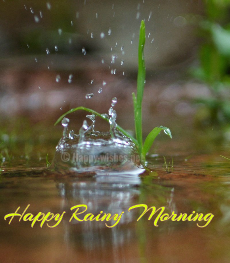 Happy Rainy Morning - Good Morning Wishes On A Rainy Day - HD Wallpaper 