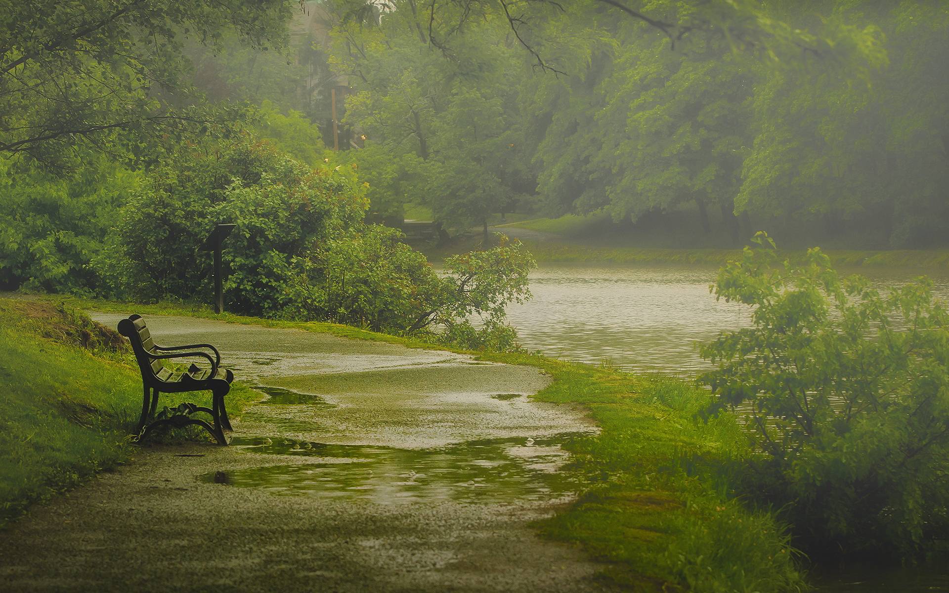 Download Free Modern Love Rain The Wallpapers Hd - Rain Nature Images Hd - 1920x1200 Wallpaper Download Free Modern Love Rain The Wallpapers Hd - Rain Nature Images Hd - 1920x1200 Wallpaper
