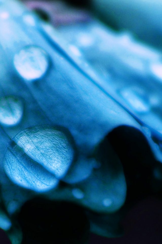Blue Flower Bokeh Rain Nature Iphone Wallpaper - Purple Flower Rain - HD Wallpaper 