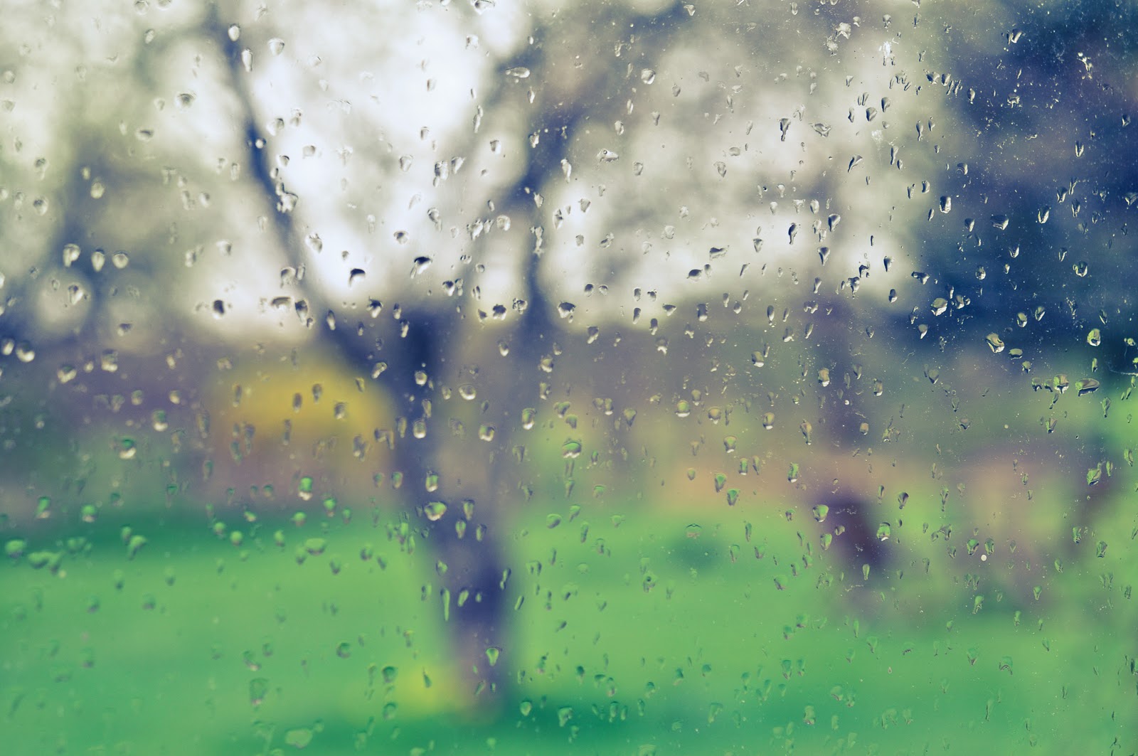 Rainy Day - 1600x1063 Wallpaper 