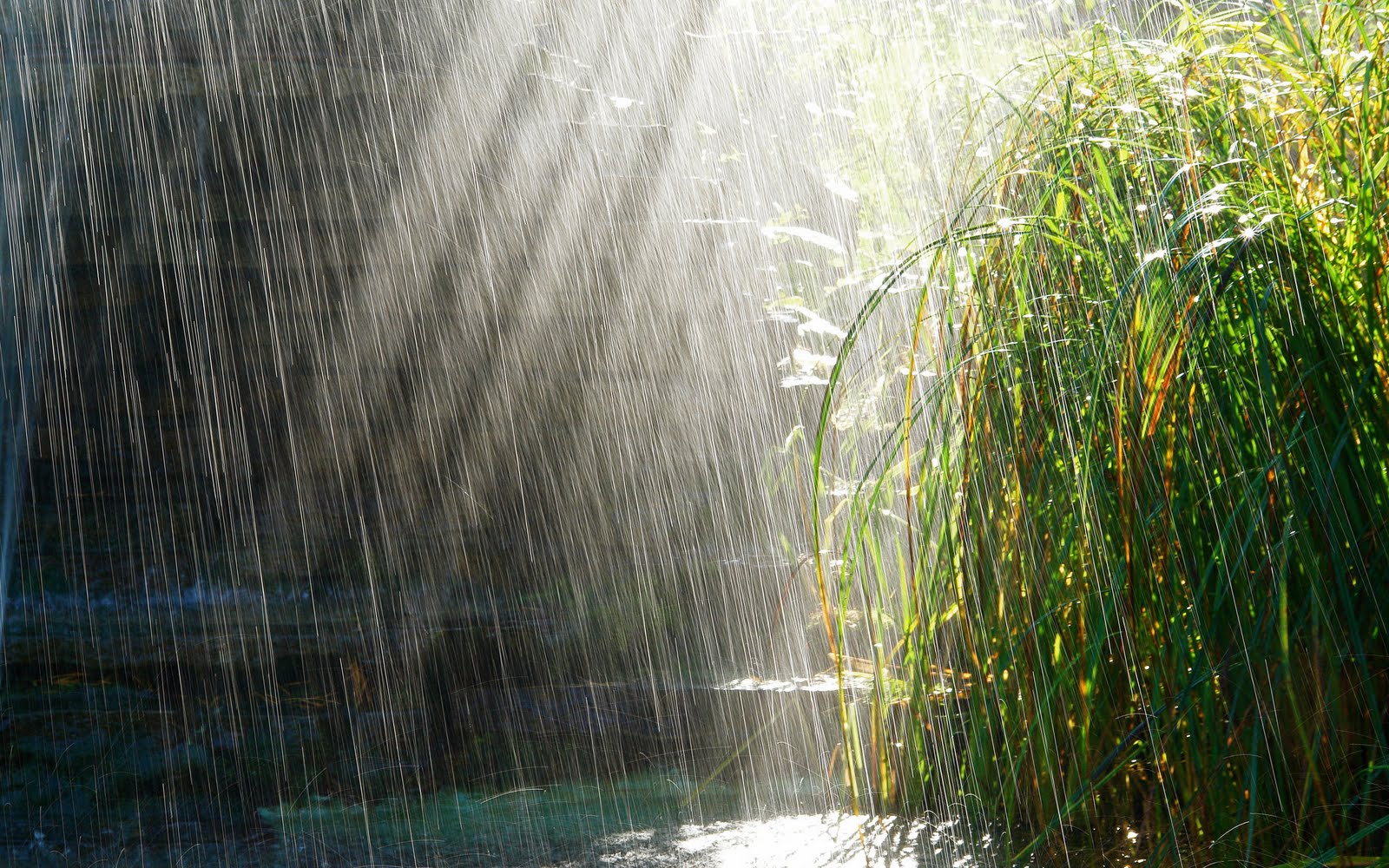 Hq 1600x1000px Resolution Love Rain - HD Wallpaper 