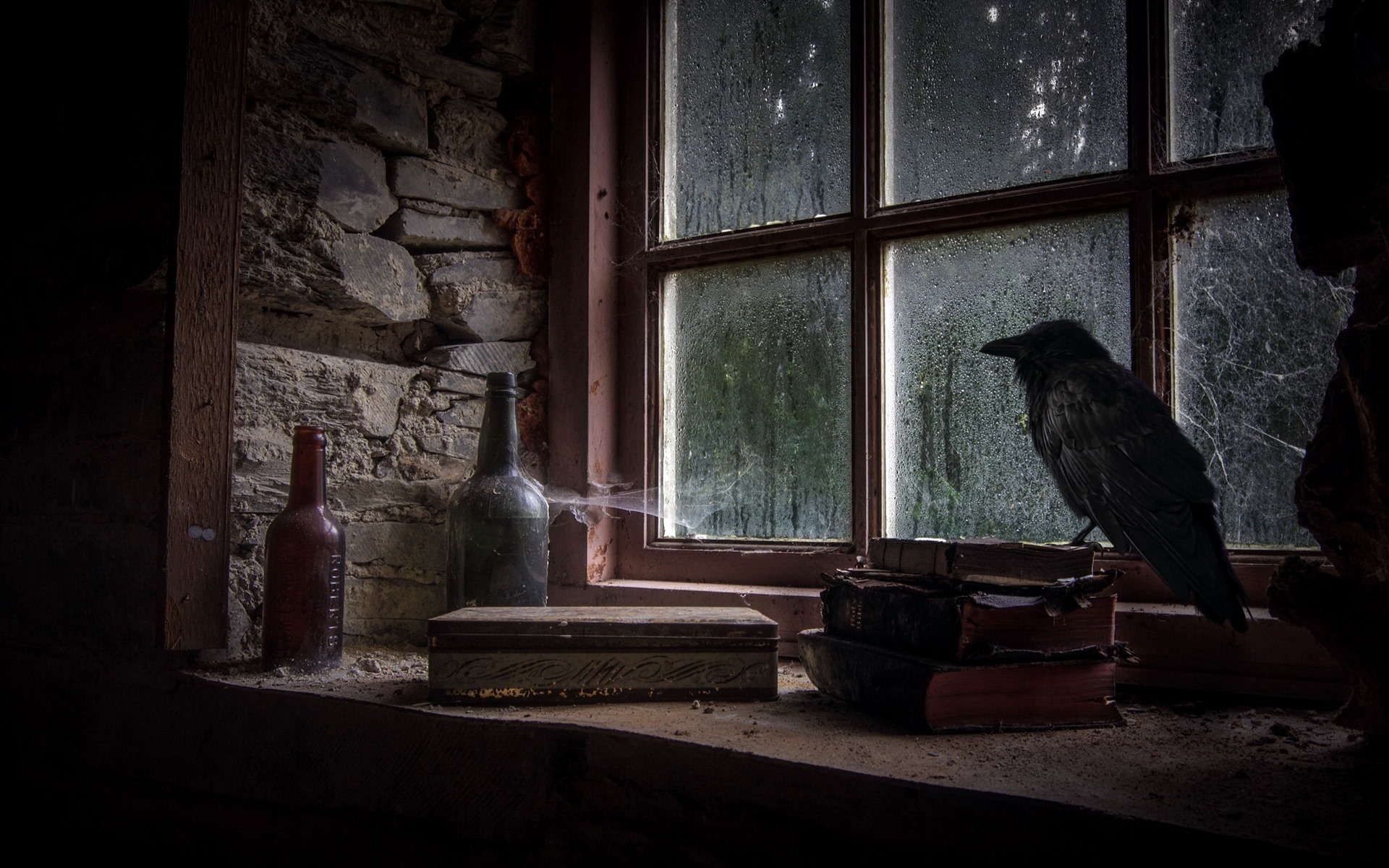 Wallpaper Window, Books, Bottles, Crow, Rainy, Dirt - Wallpaper - HD Wallpaper 