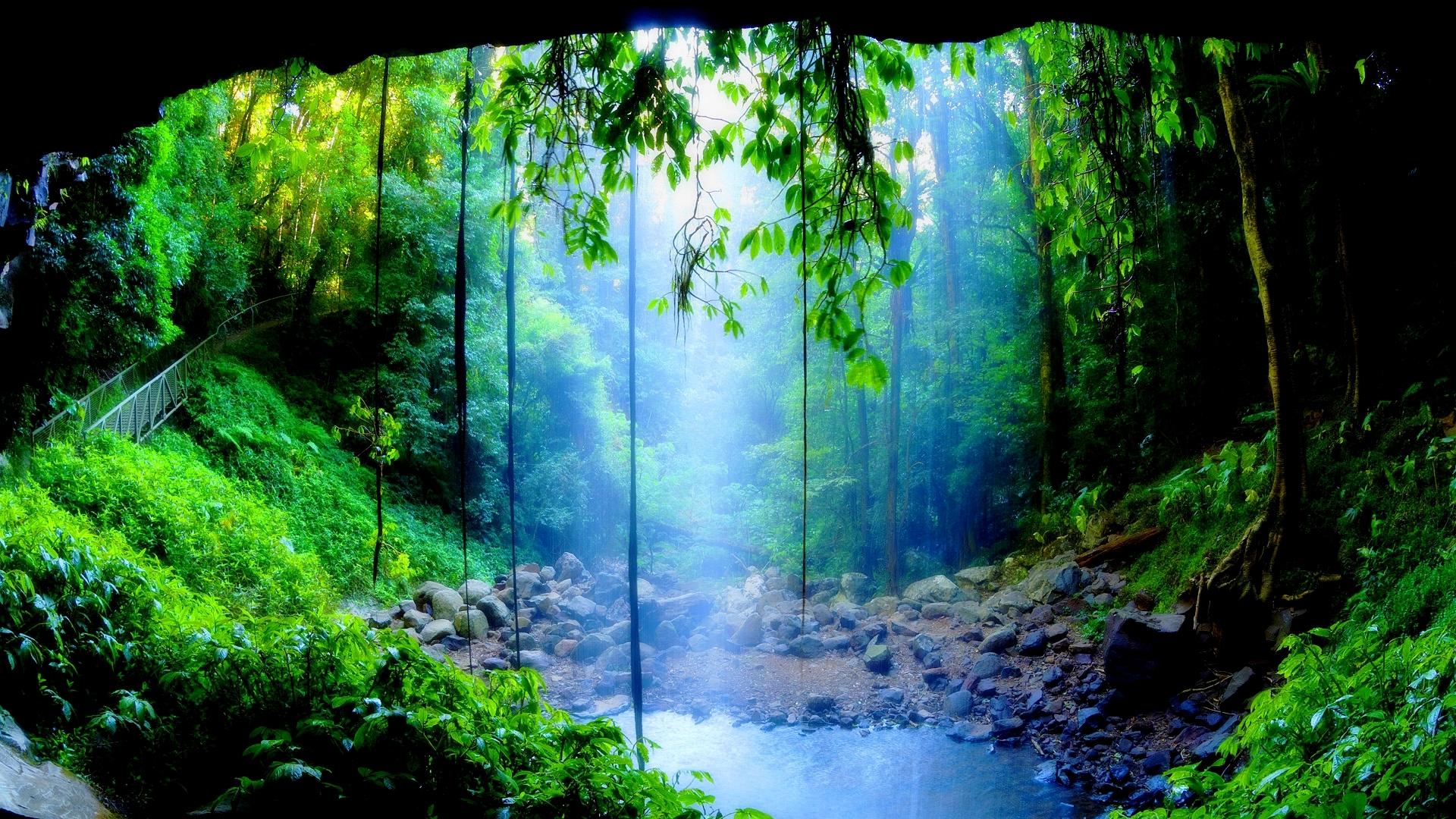 Crystal Shower Falls Australia Wallpaper Hd - Rain Forest - HD Wallpaper 
