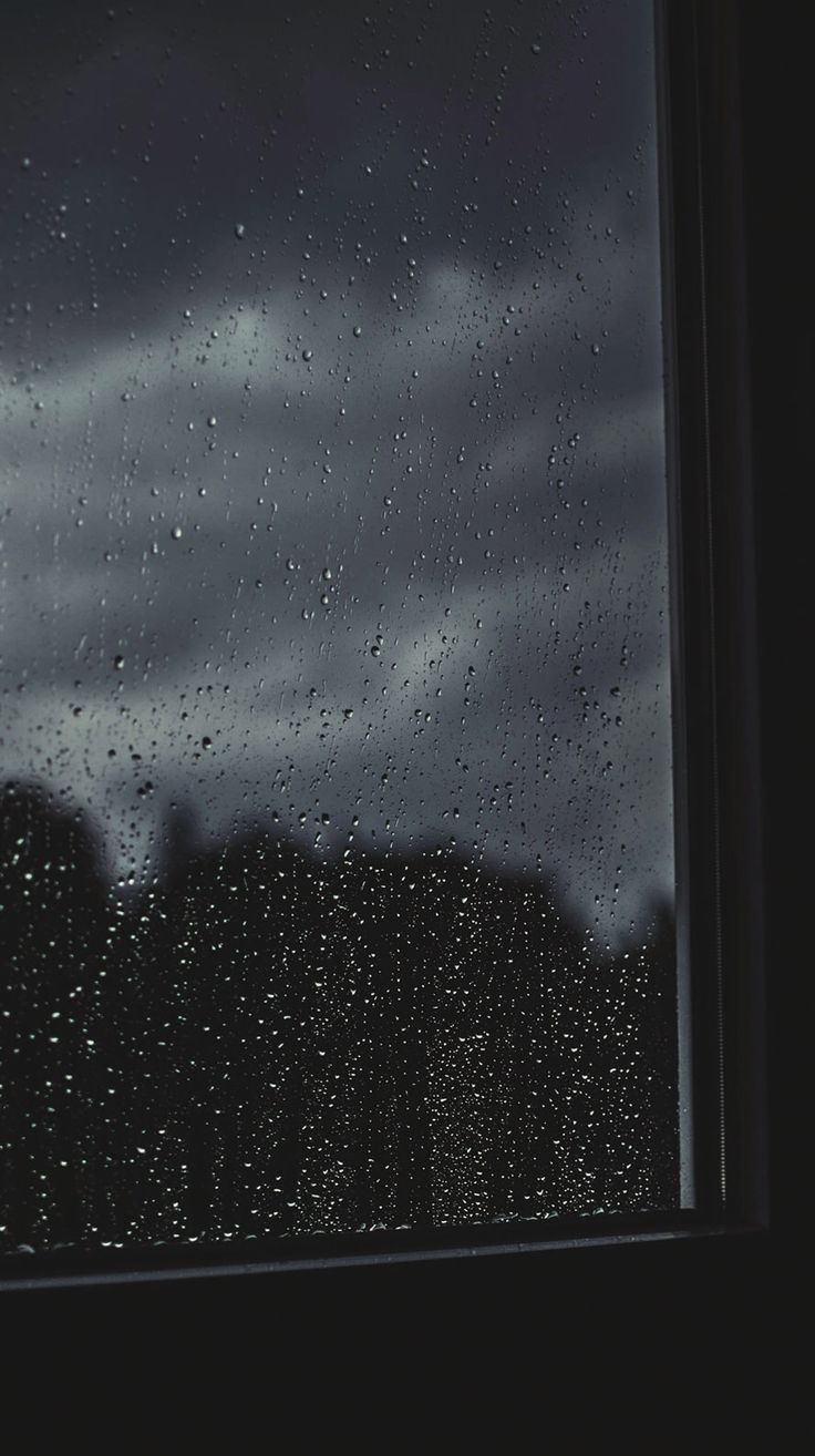 Wallpaper - HD Wallpaper 