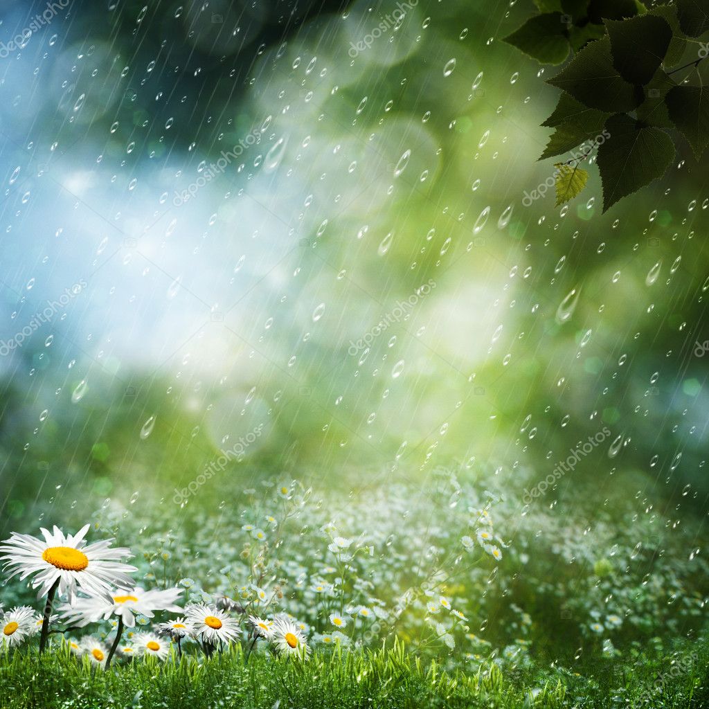 Sweet Rain - HD Wallpaper 