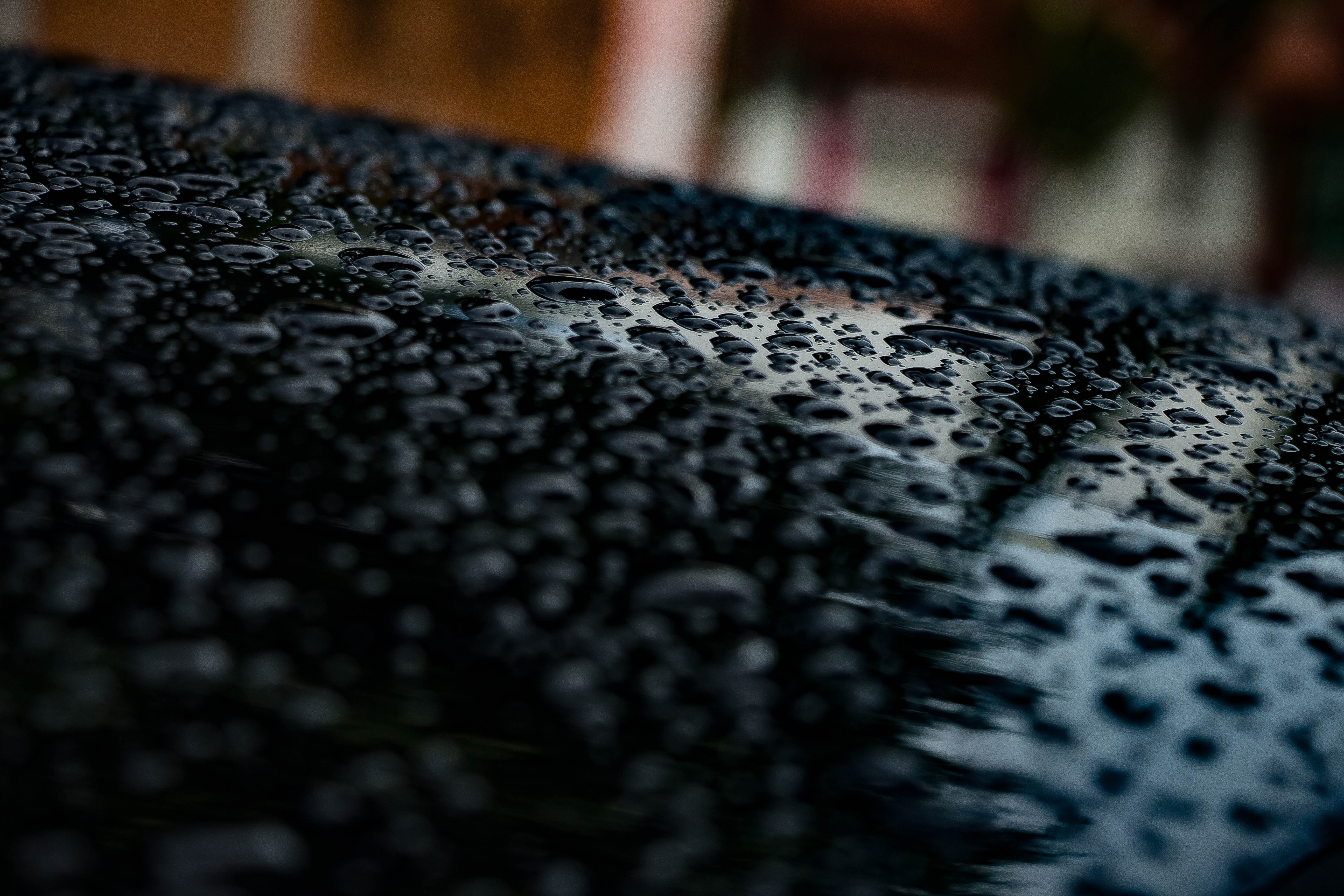 Close-up - HD Wallpaper 