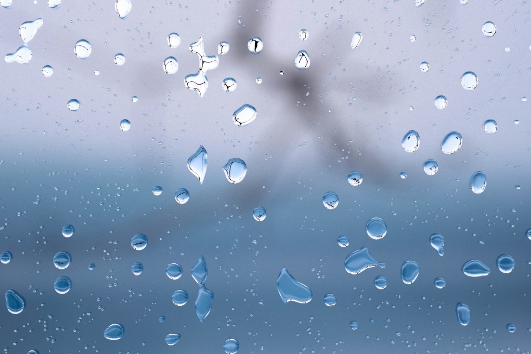 F56bc493 10dd 4bbb A347 C51e705679a2 - Drop - HD Wallpaper 