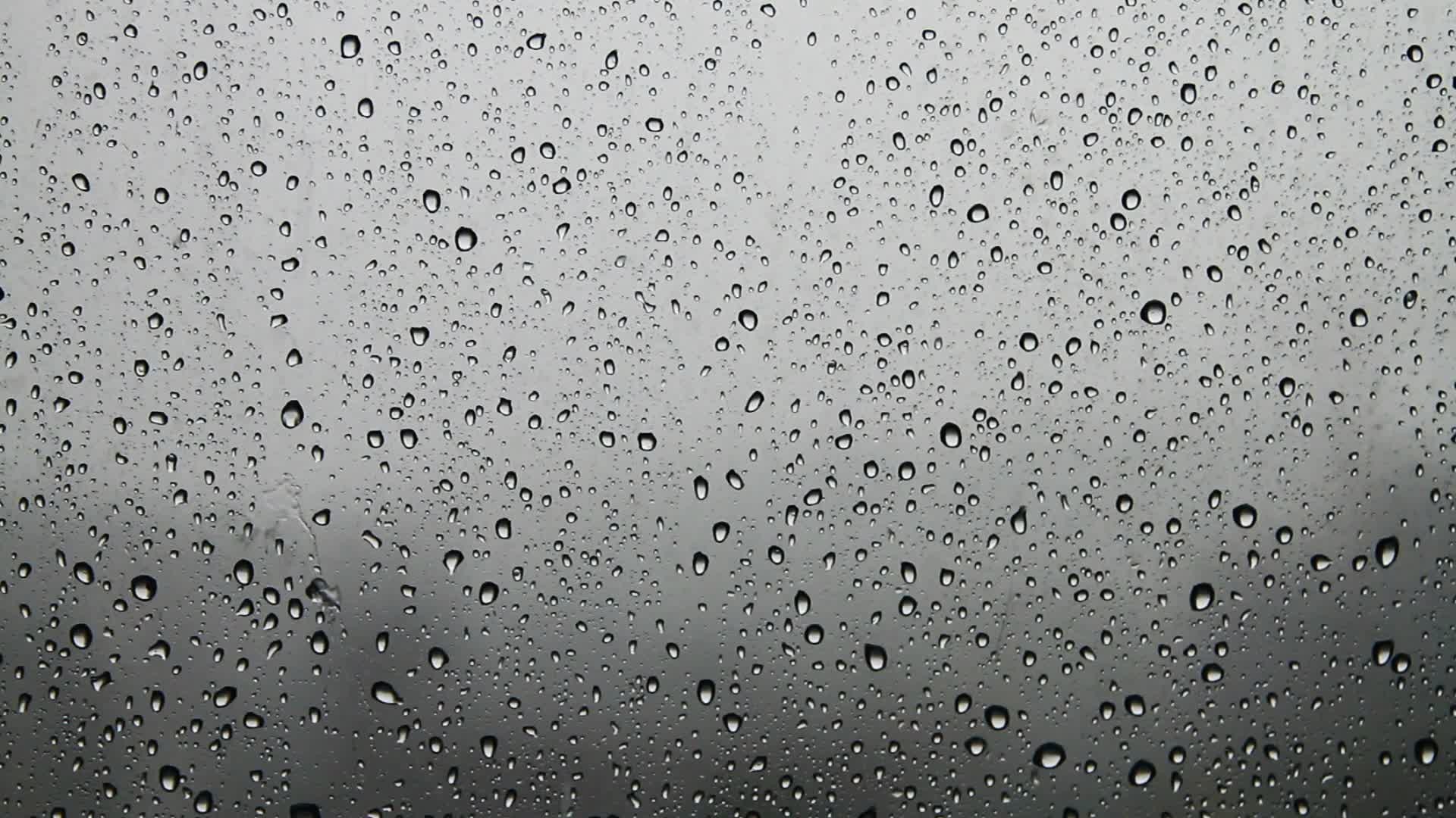 Rainy Window Wallpaper - Rain - HD Wallpaper 