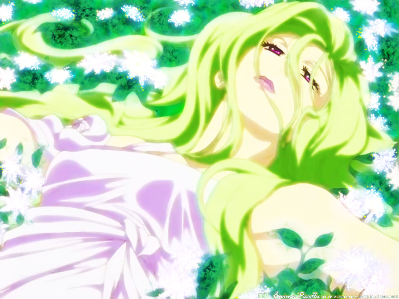 2008 07 04 - Wolf's Rain Lady Hamona - HD Wallpaper 