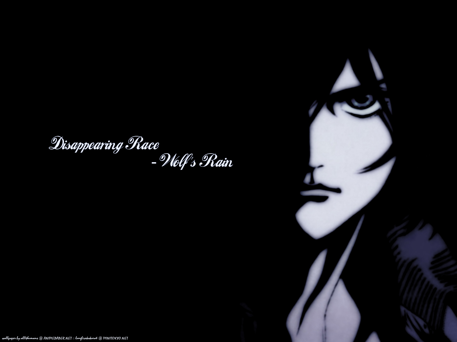 Bones, Wolf S Rain, Kiba Wallpaper 
	style Width - Kiba Wolf's Rain - HD Wallpaper 