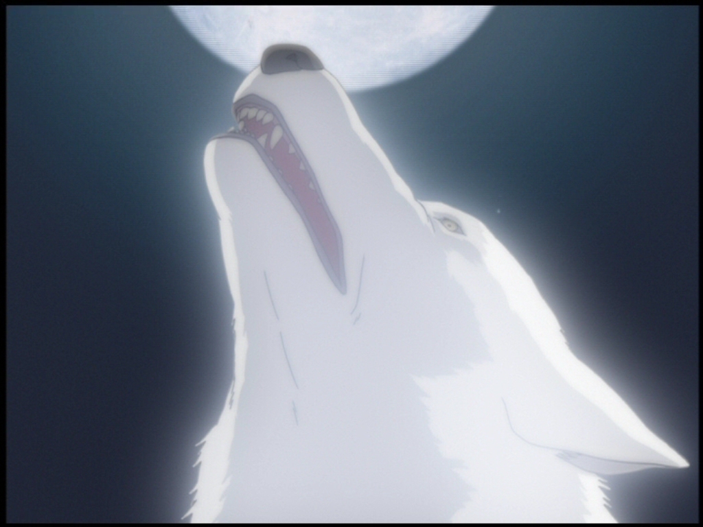 Wolf's Rain Moon - HD Wallpaper 