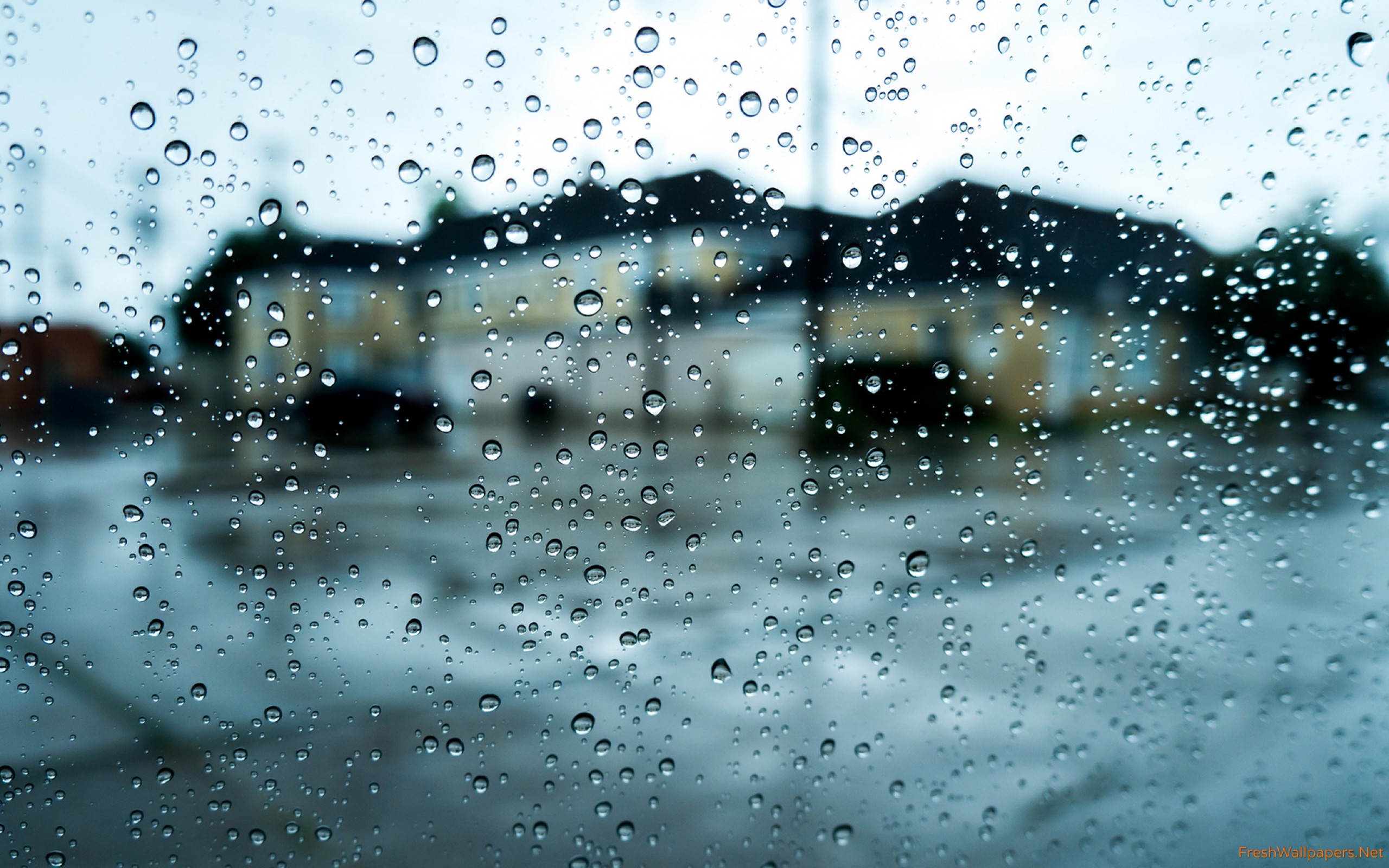 Raindrops Wallpaper For Mobile - 2560x1600 Wallpaper Raindrops Wallpaper For Mobile - 2560x1600 Wallpaper