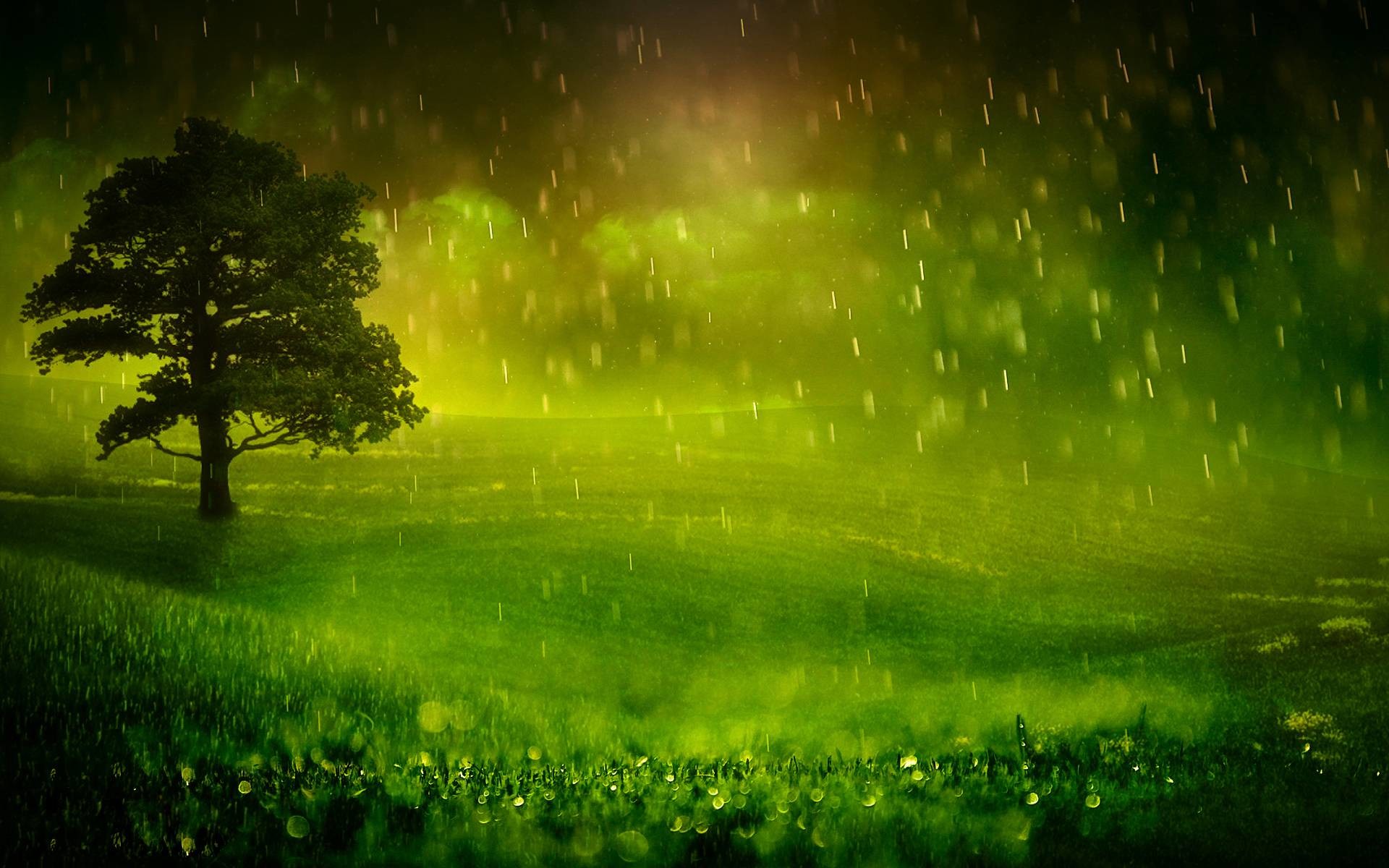 File Name - Rain Nature Wallpaper Downloading - HD Wallpaper 