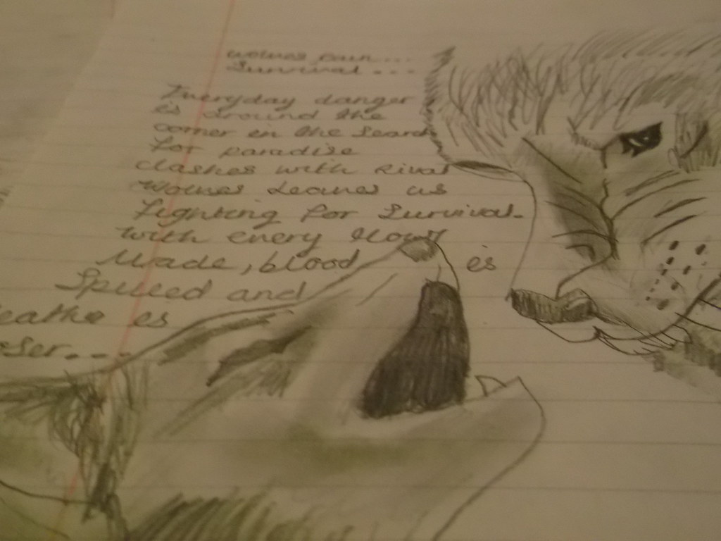 Wolf S Rain Fanart - HD Wallpaper 