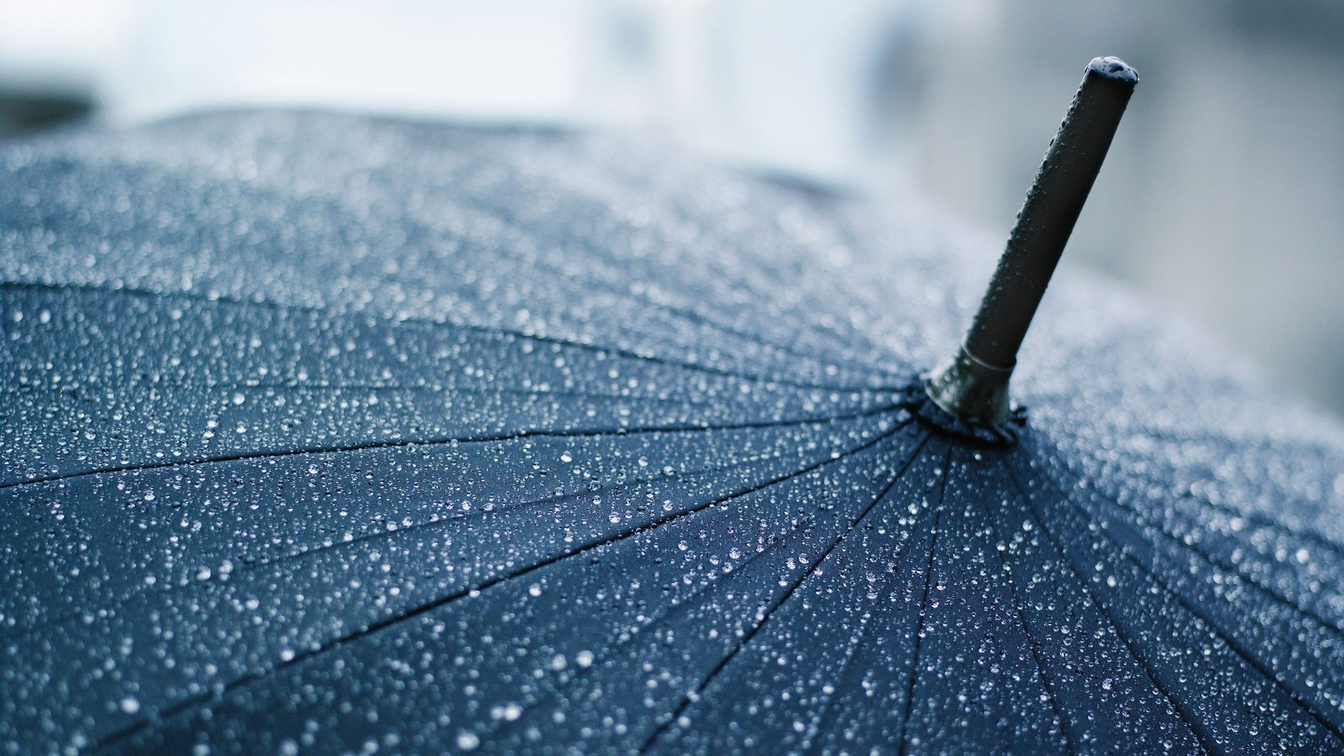 Raindrops Wallpaper For Mobile - HD Wallpaper 