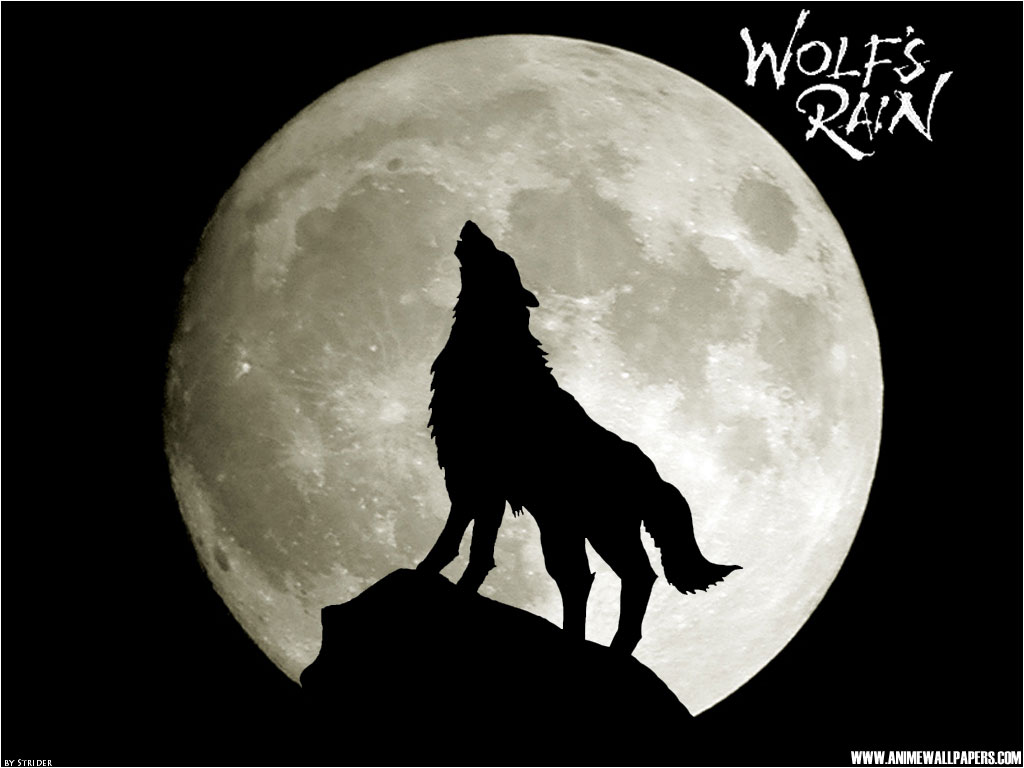 Dark Moon And Wolf - HD Wallpaper 
