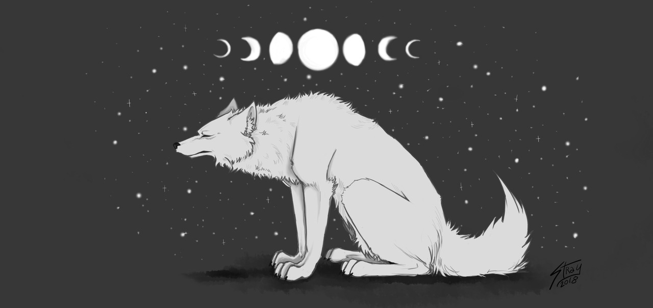 Straywolf - Cat Yawns - HD Wallpaper 