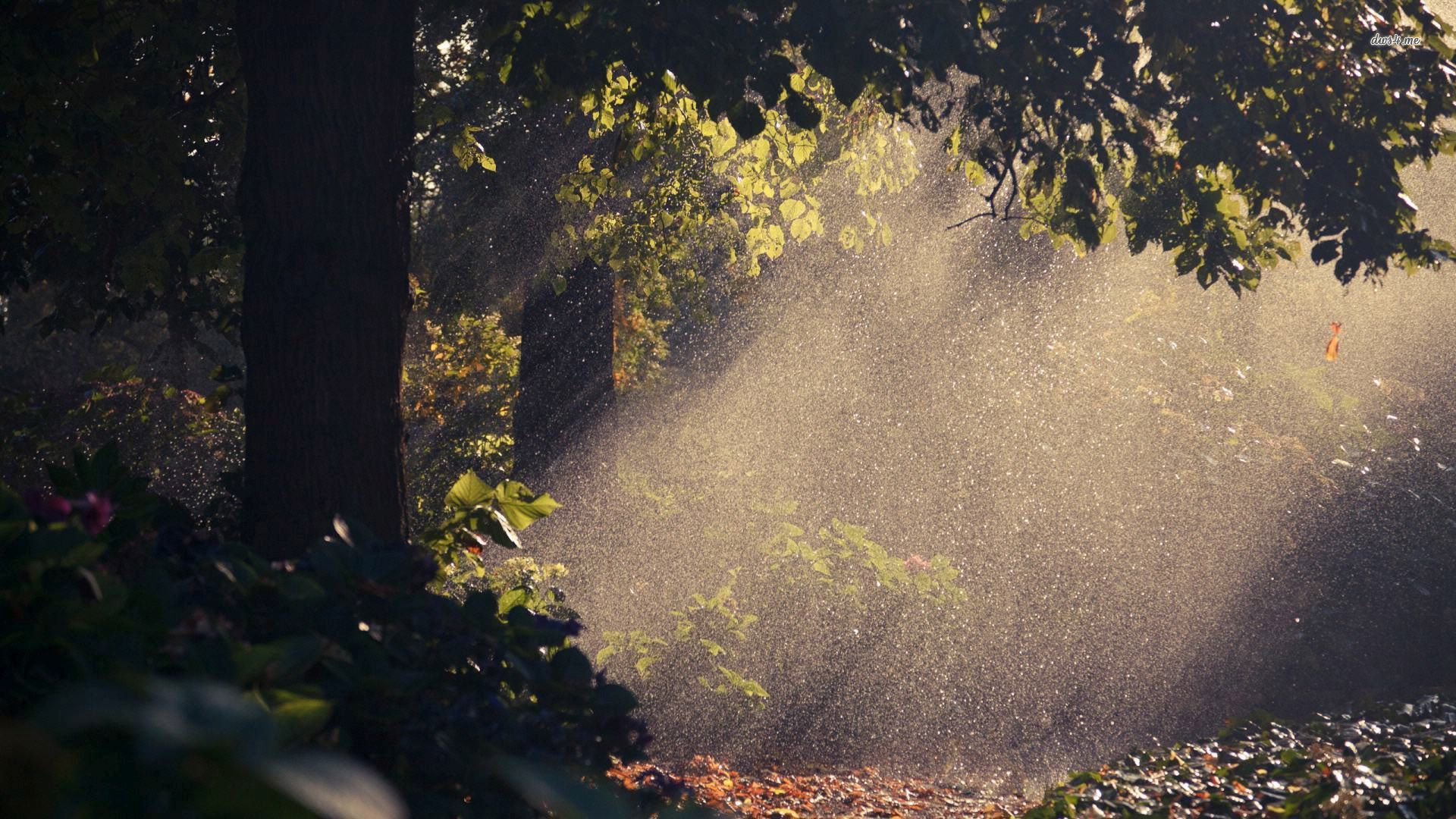 Summer Rain Wallpaper Hd Summer Rain Desktop Wallpapers - Rain Desktop Backgrounds - HD Wallpaper 