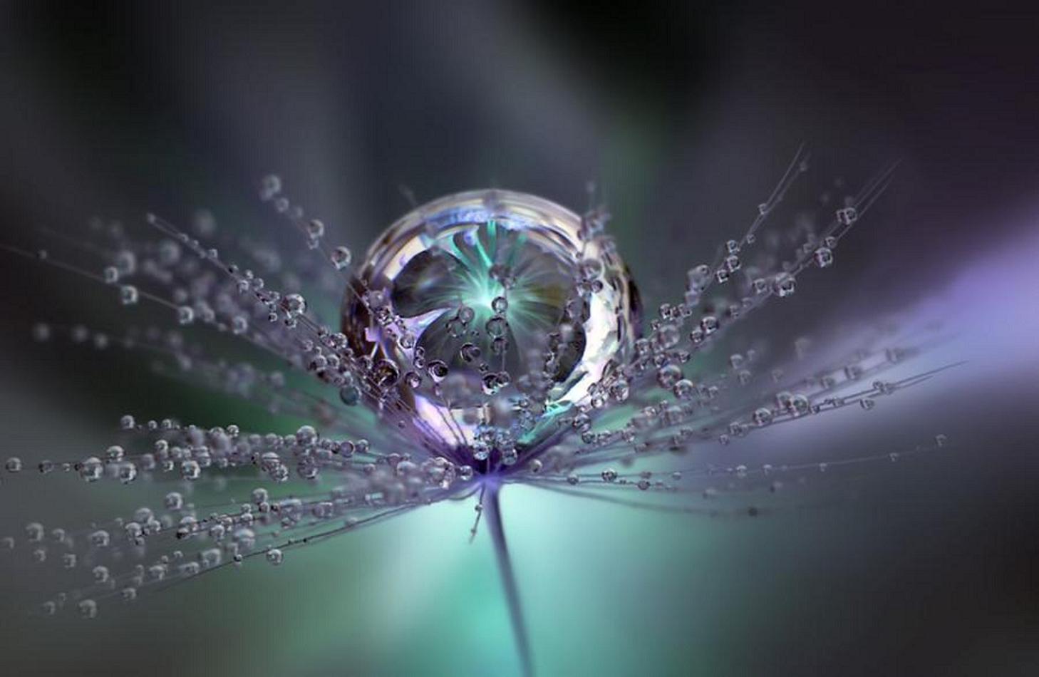 Beautiful Water Drop Macro Wallpaper Wallpaper - Beautiful Images Of Raindrops - HD Wallpaper 