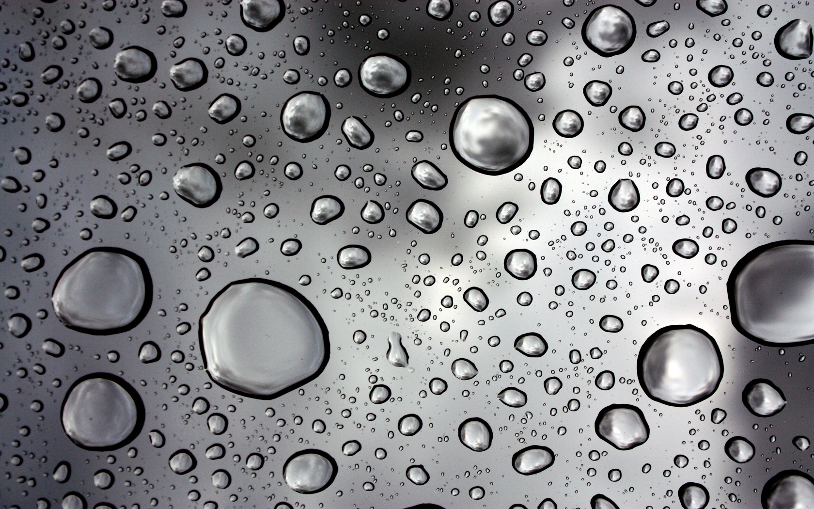 Hd Wet Wallpaper For Background, Deanne Bertolini - Water Droplets - HD Wallpaper 