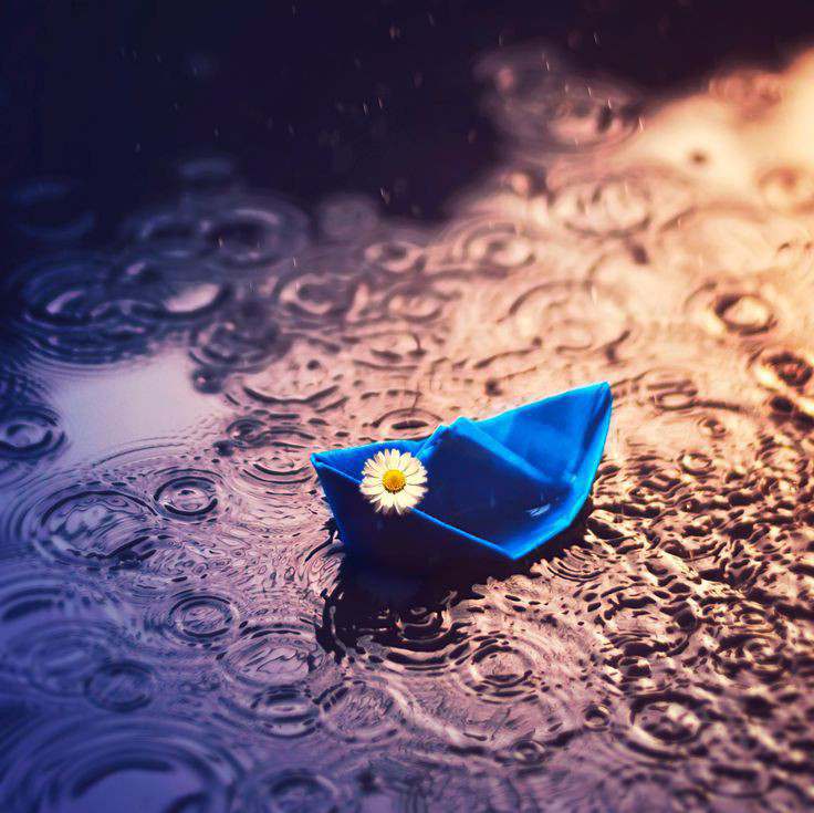 Udaas Phirta Hai 
mohalle Me Barish Ka Paani
kasht - Rain And Paper Boat - HD Wallpaper 