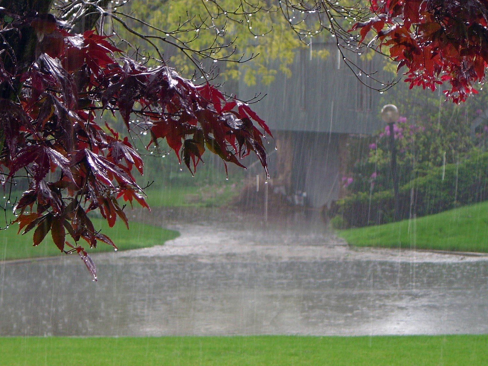 Rainy Day Images Free Download - HD Wallpaper 