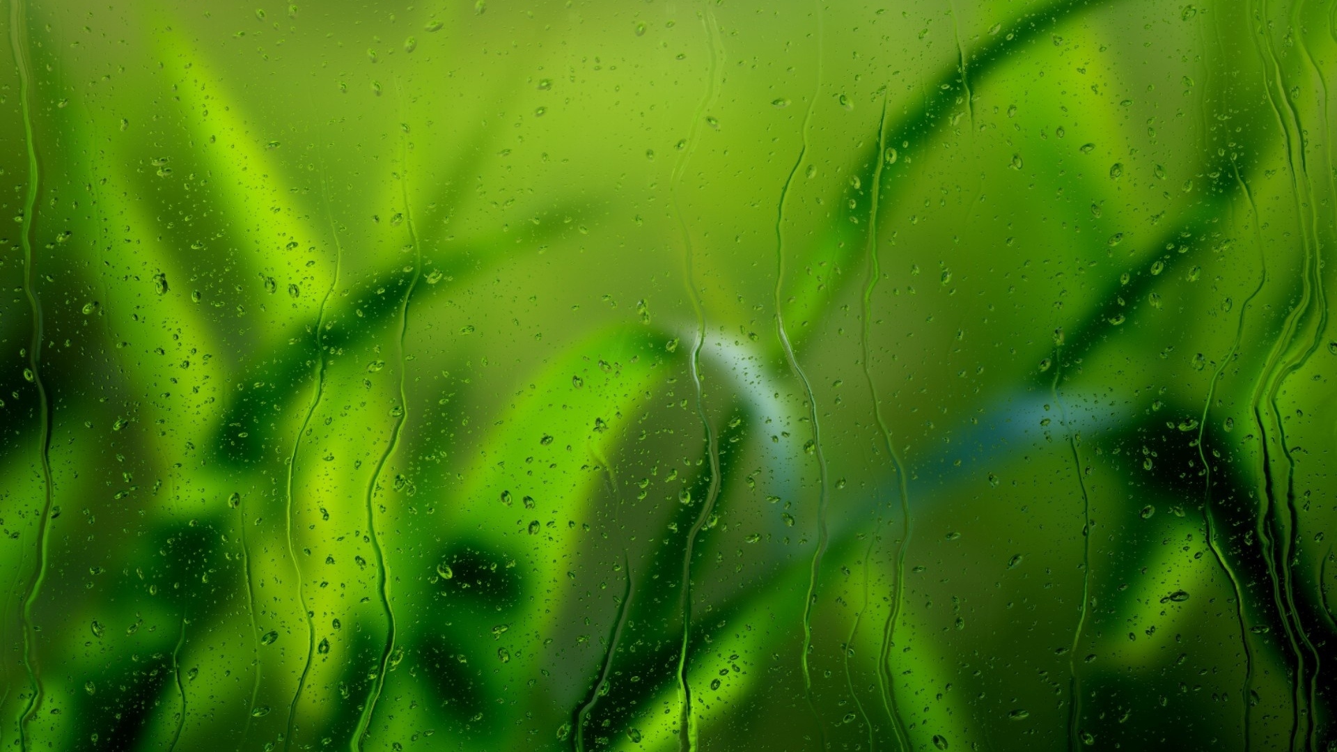 Wallpaper Grass, Glass, Rain, Drops - Rain Drops On Grass Hd - HD Wallpaper 