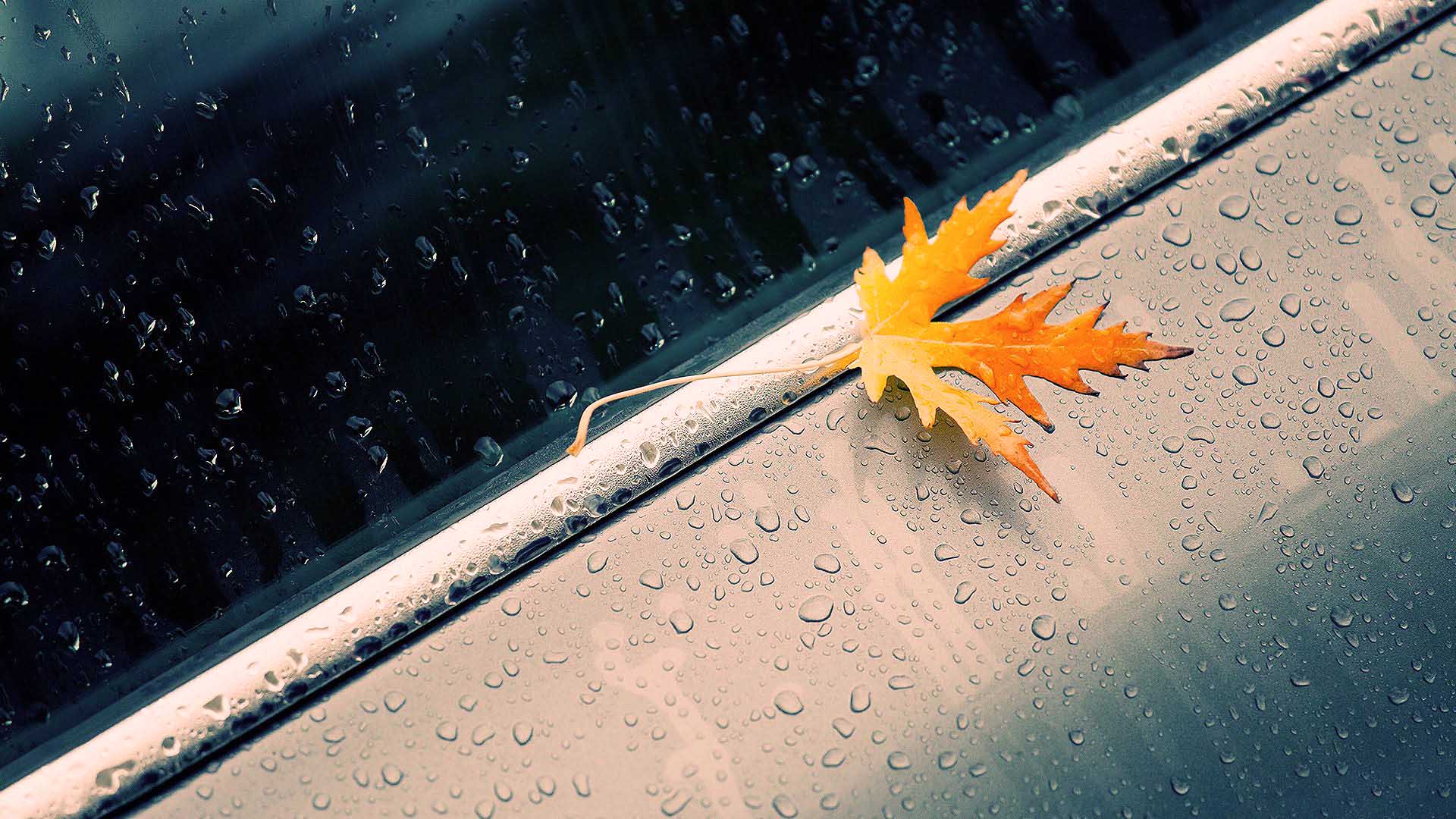 Rain Wallpapers - Rainy Season Images Hd - HD Wallpaper 