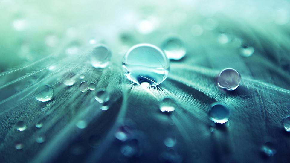 Round Rain Drops On A Leaf Wallpaper,plants Hd Wallpaper,3840x2160 - Make Me Wet With Your Words - HD Wallpaper 