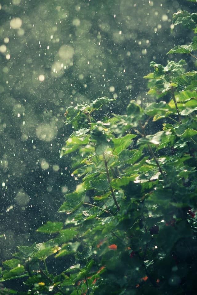 Rain Wallpaper Hd-qb165eb - Rain Wallpaper For Mobile - HD Wallpaper 